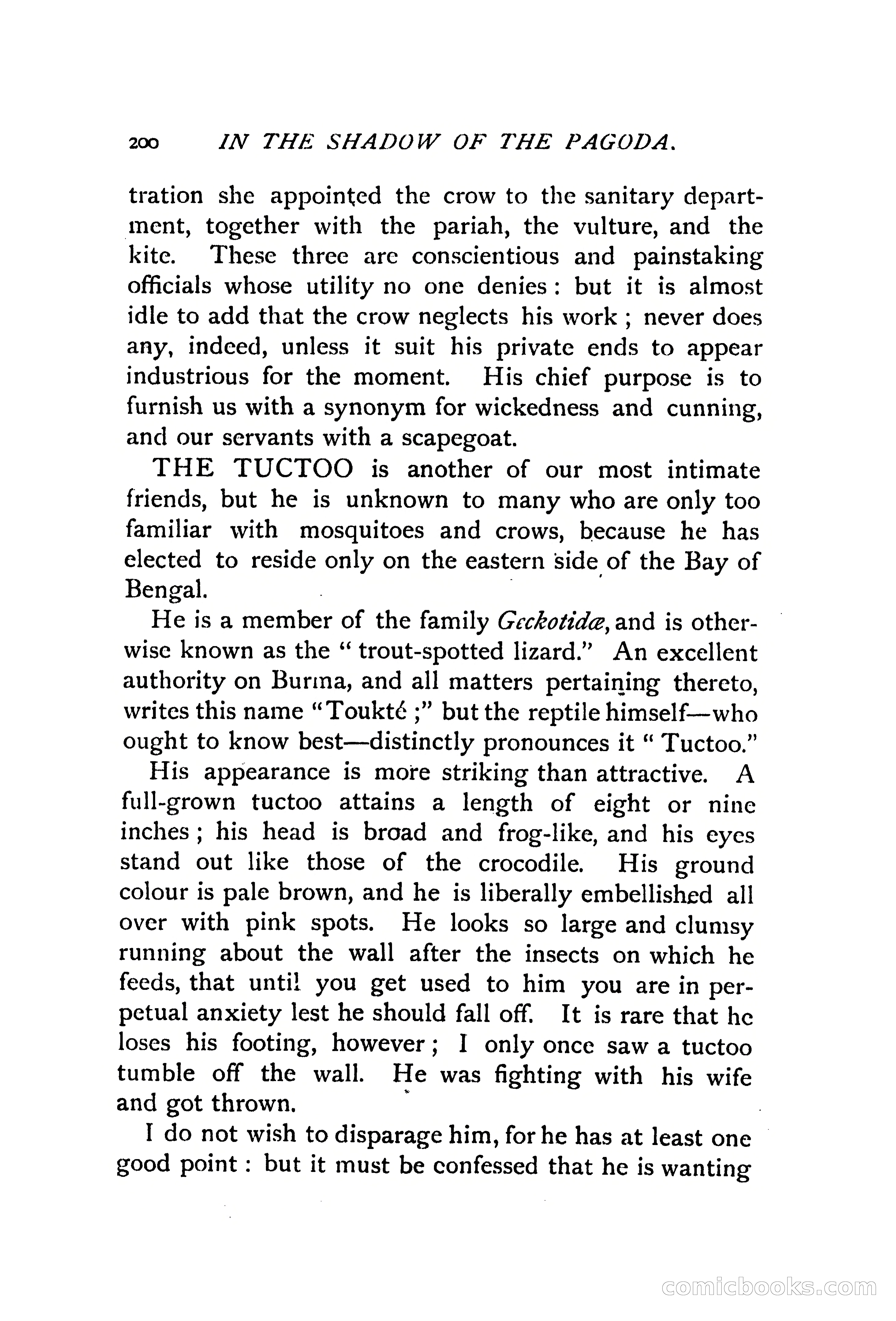 In the Shadow of the Pagoda — page 209 of 399