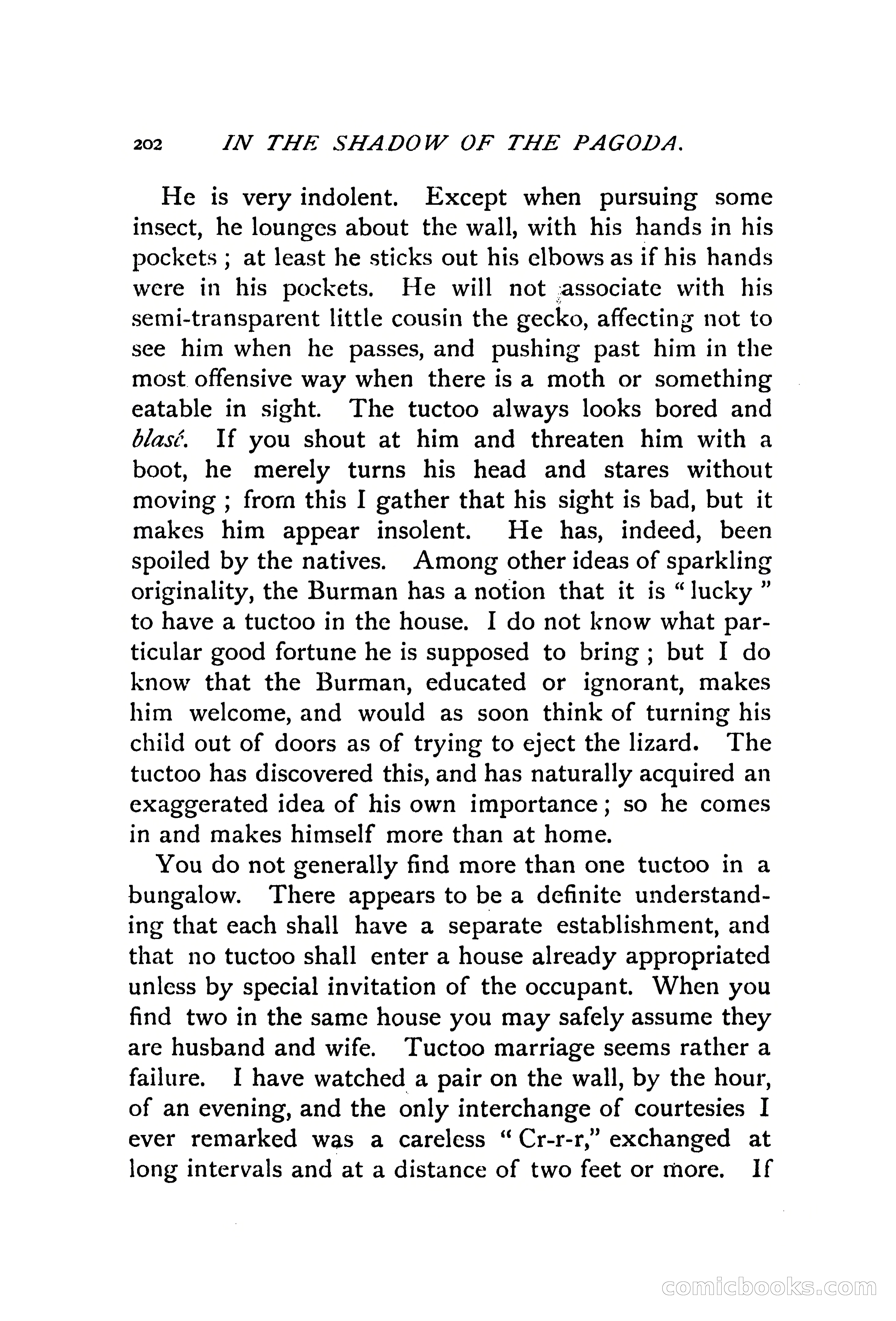 In the Shadow of the Pagoda — page 211 of 399