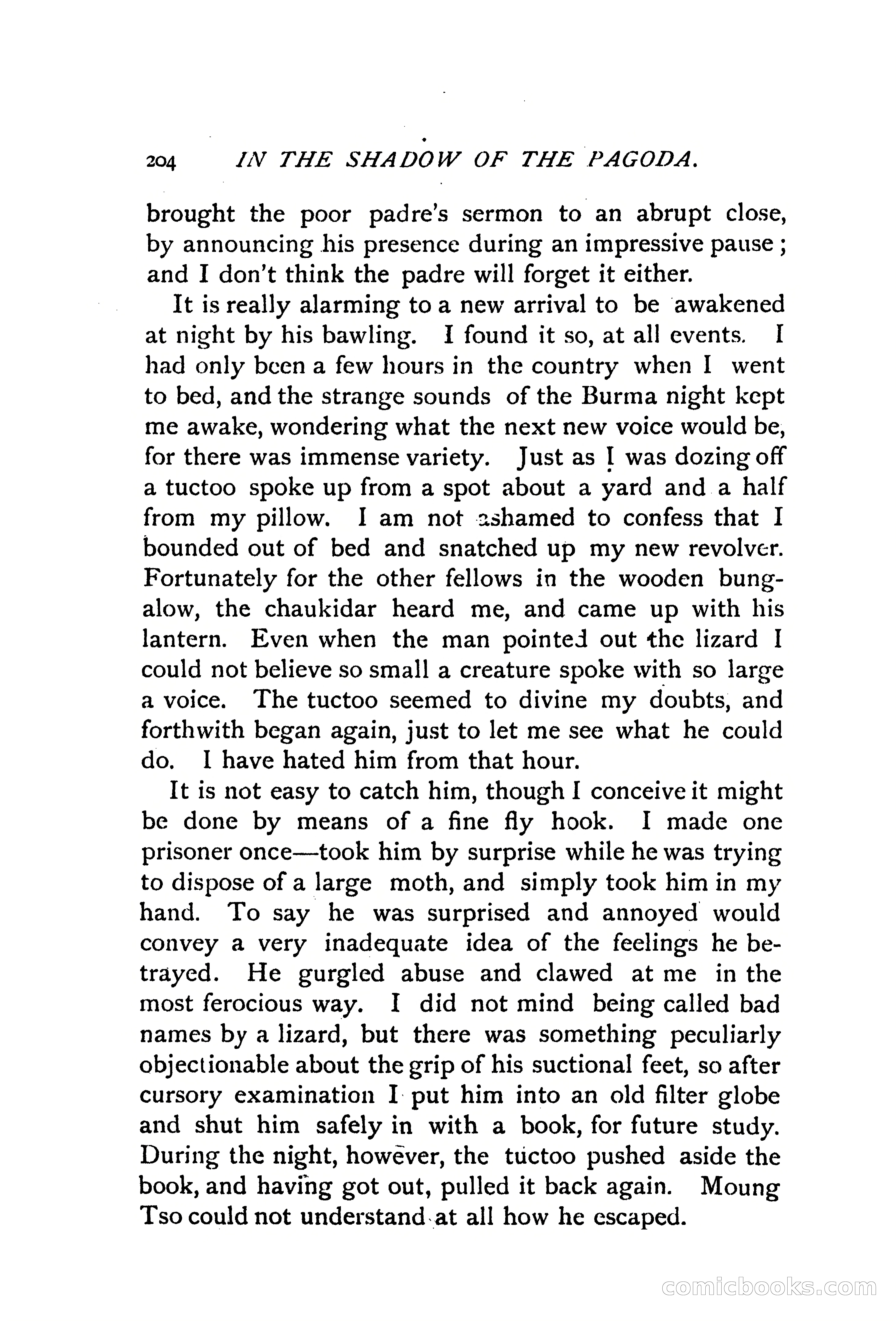 In the Shadow of the Pagoda — page 213 of 399