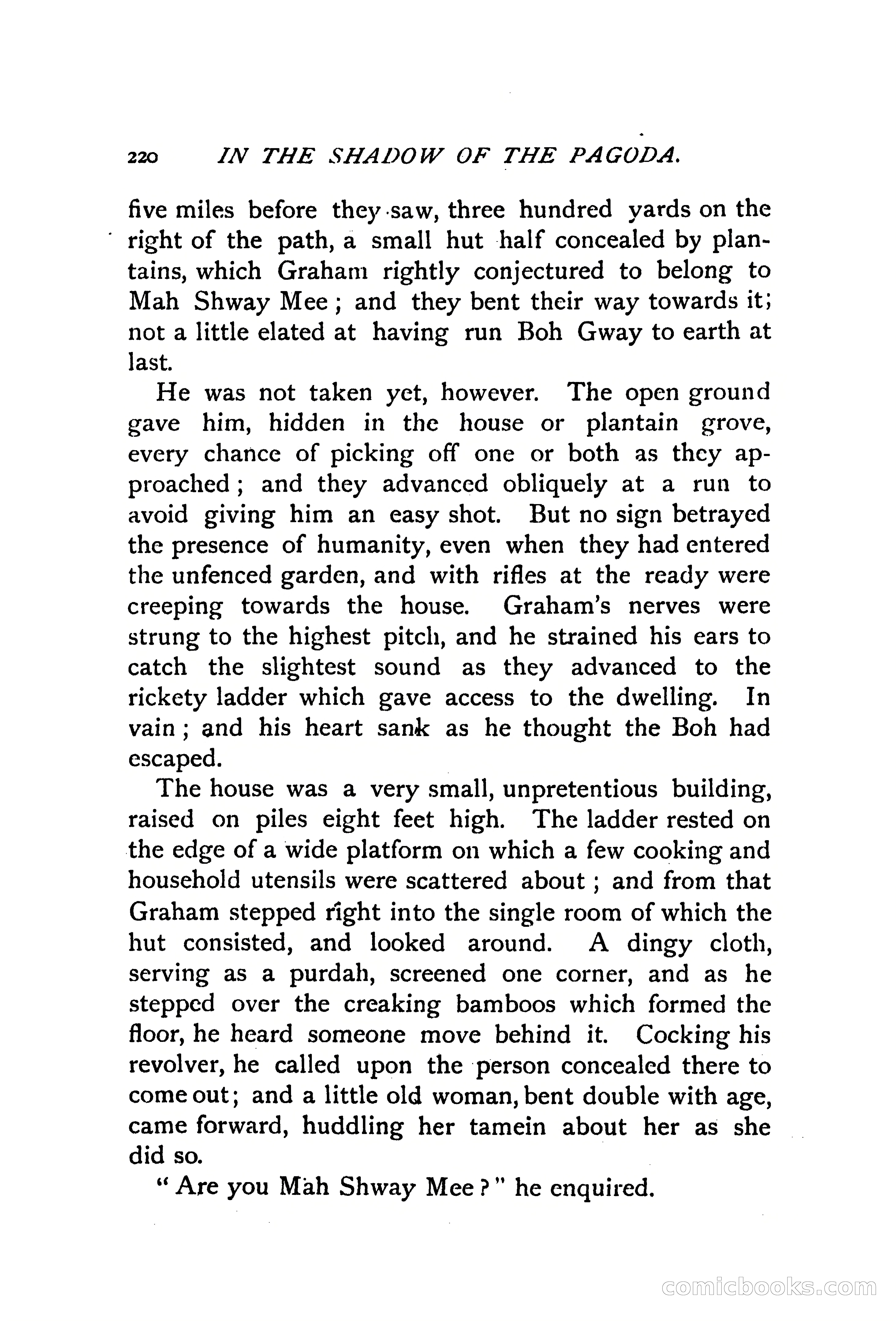 In the Shadow of the Pagoda — page 229 of 399