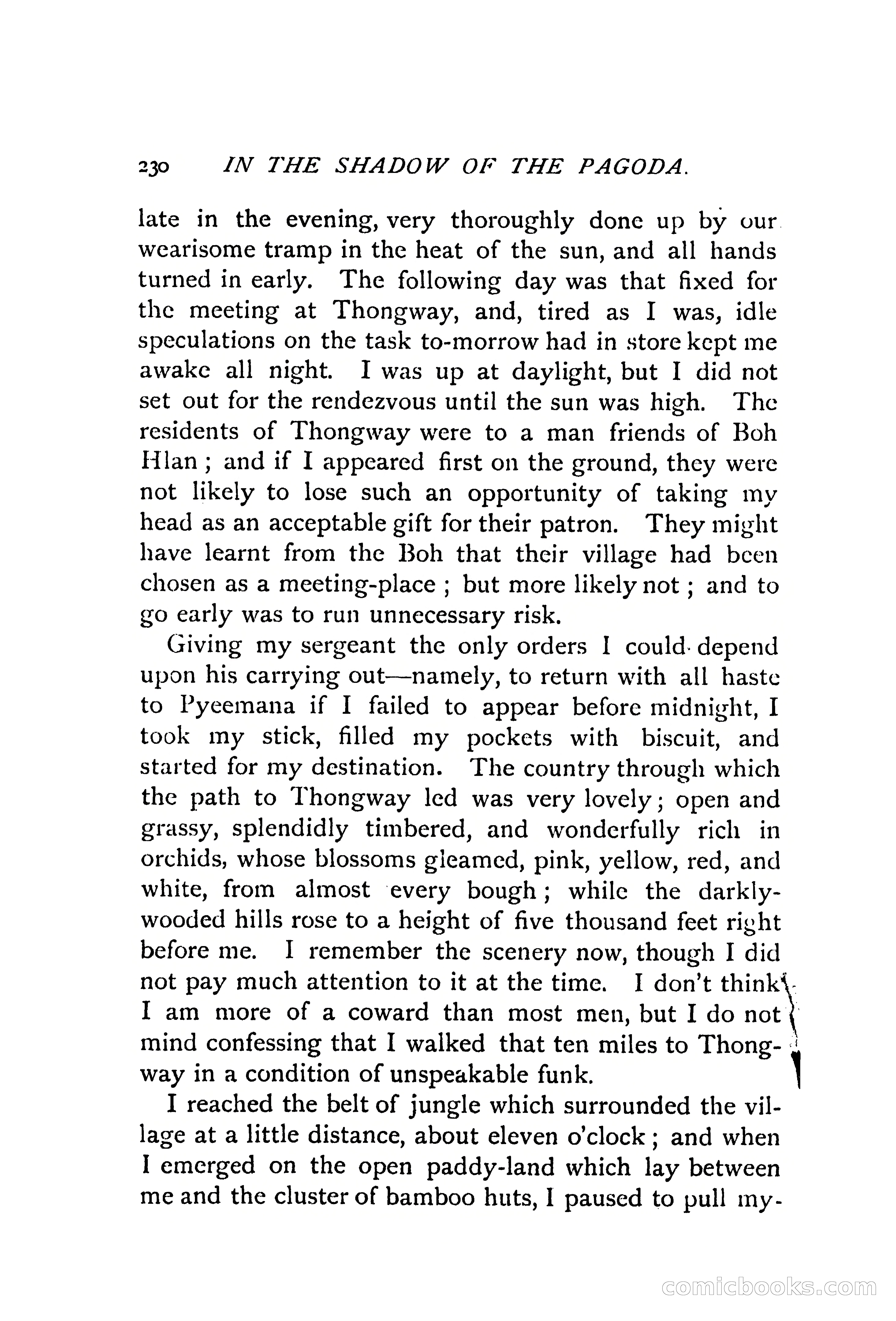 In the Shadow of the Pagoda — page 239 of 399