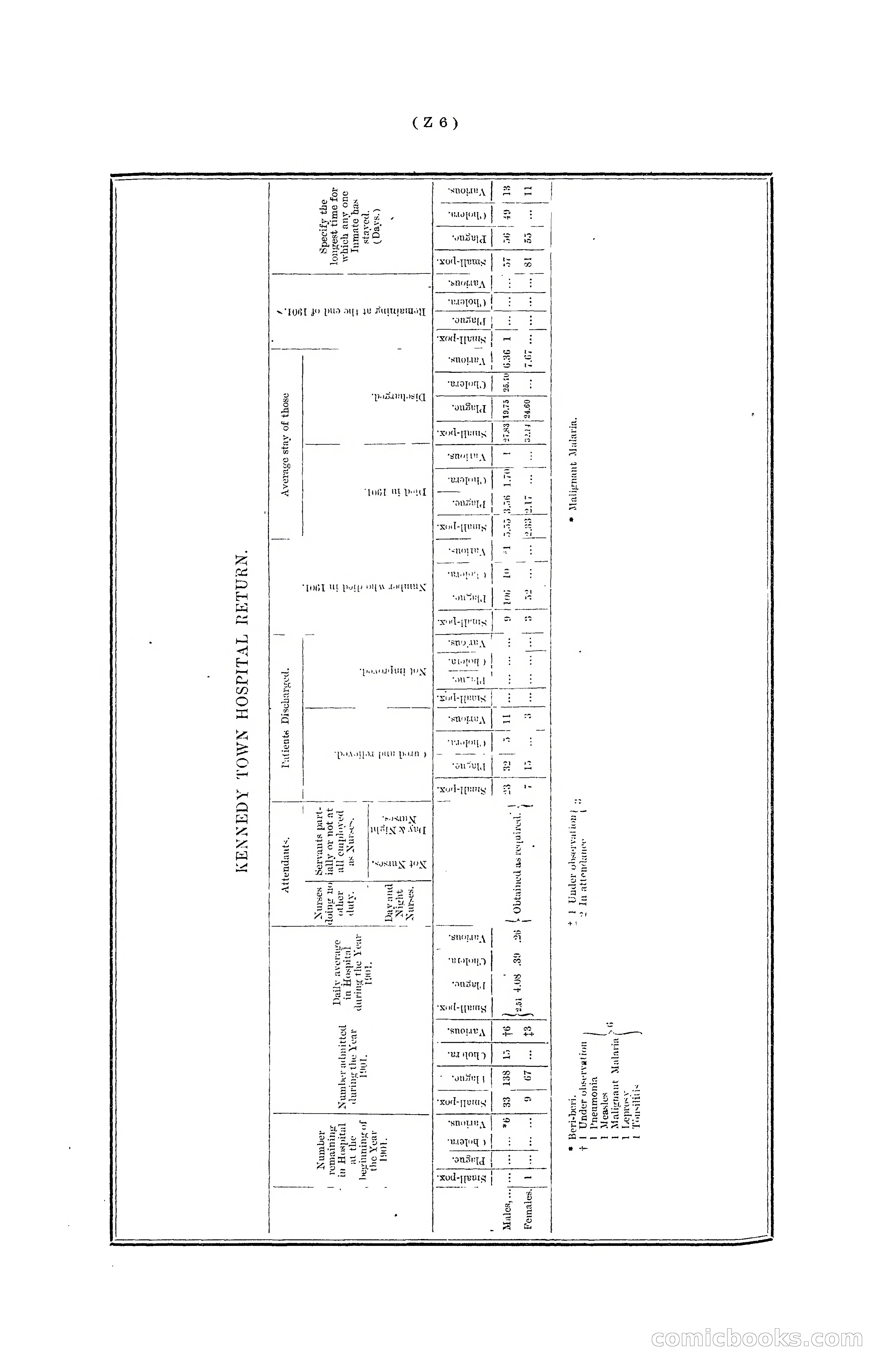 Hong Kong Blue Book for the Year, 1901 — page 360 of 370