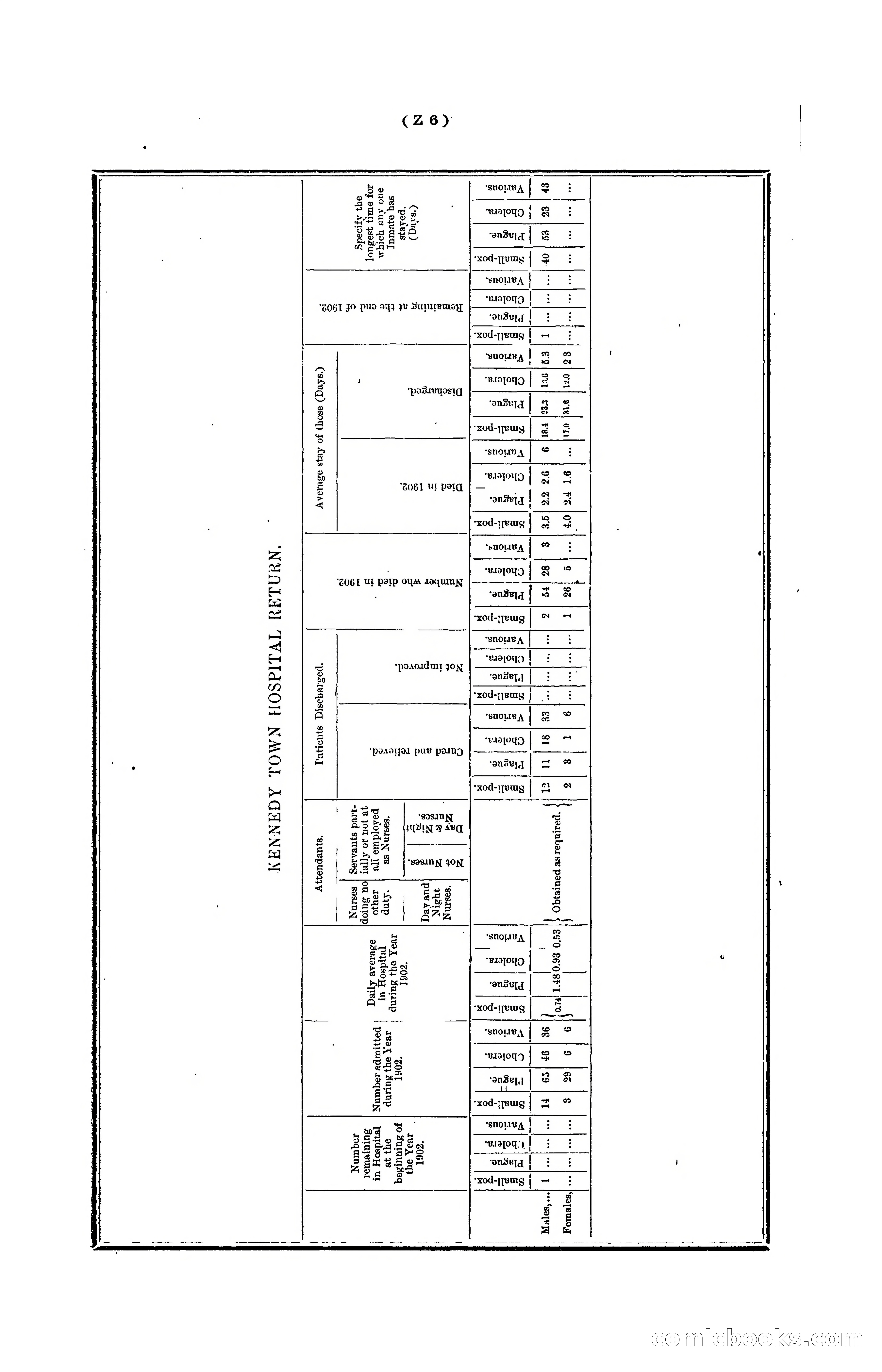 Hongkong Blue Book for the Year, 1902 — page 381 of 395