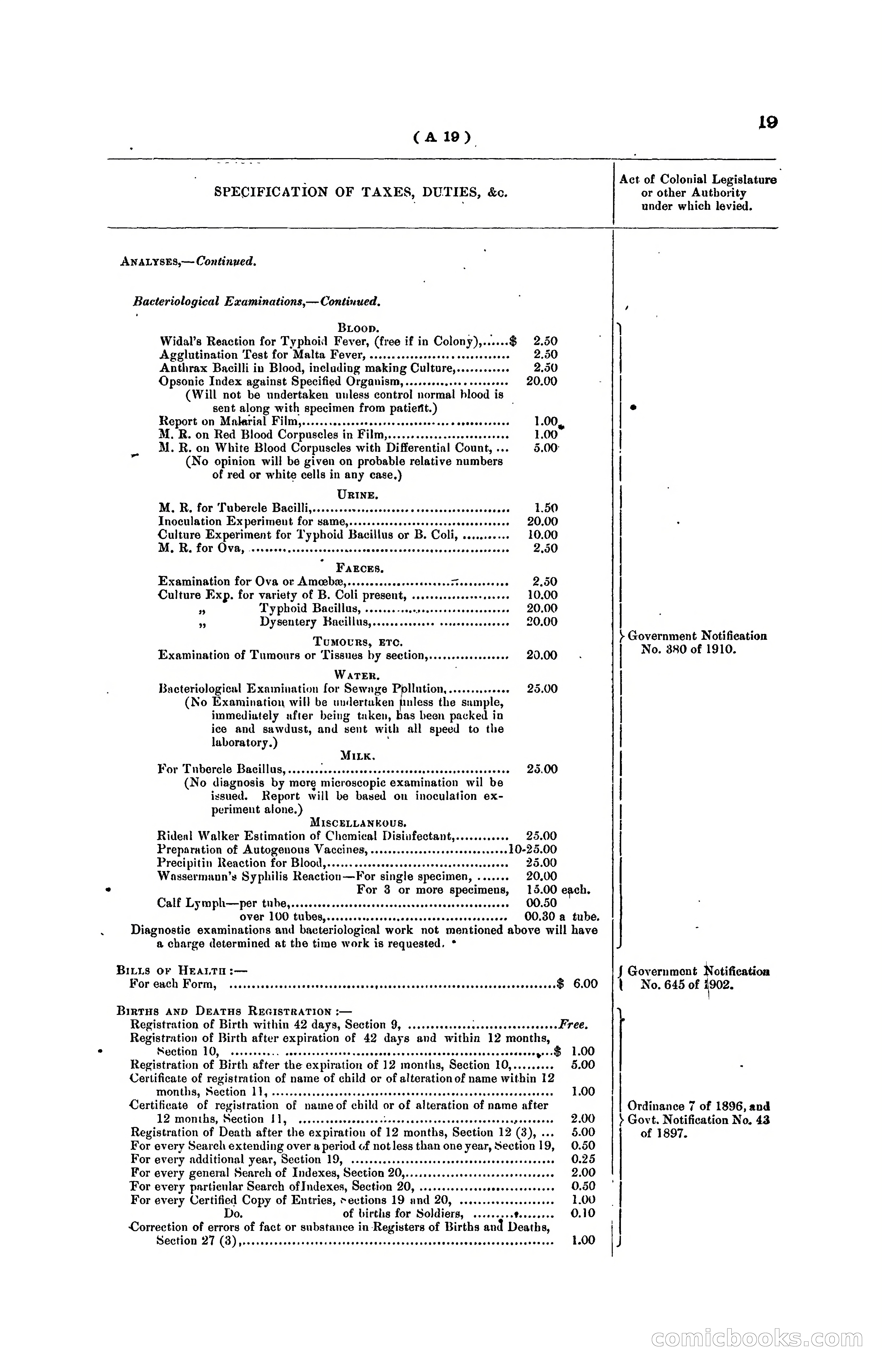 Hong Kong Blue Book for the Year, 1919 — page 27 of 367