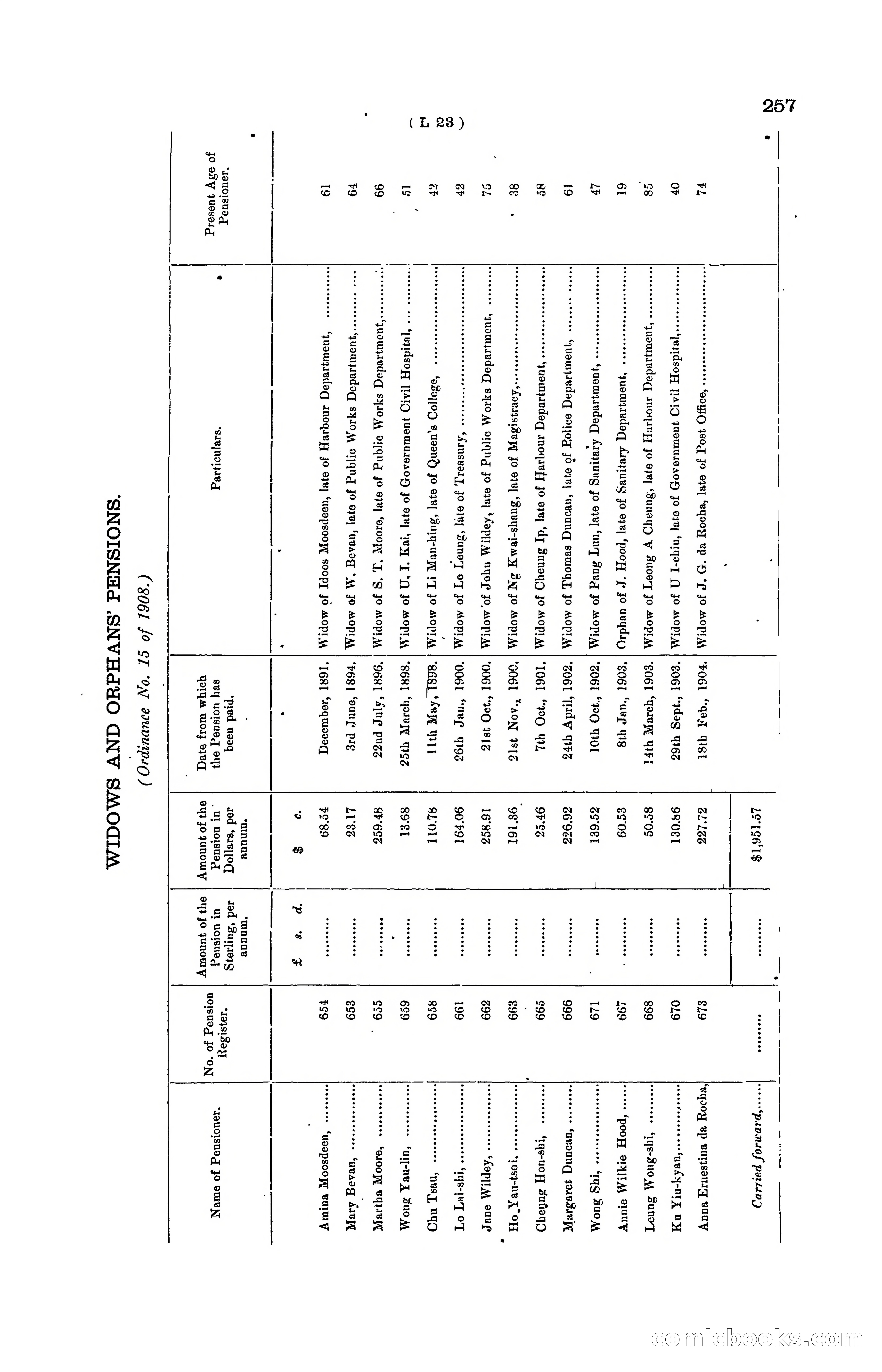 Hong Kong Blue Book for the Year, 1919 — page 253 of 367
