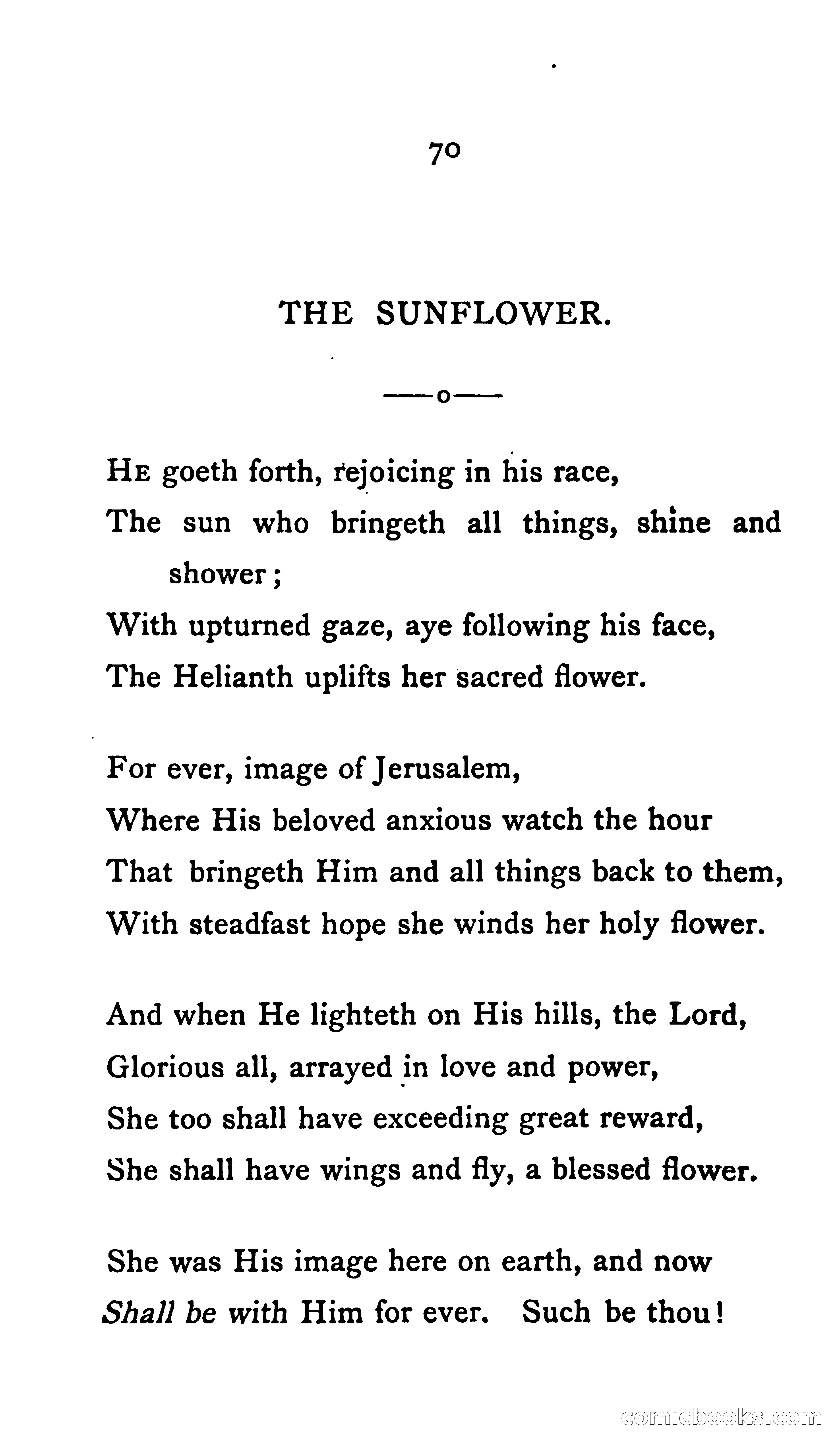In the Shadow — page 81 of 145
