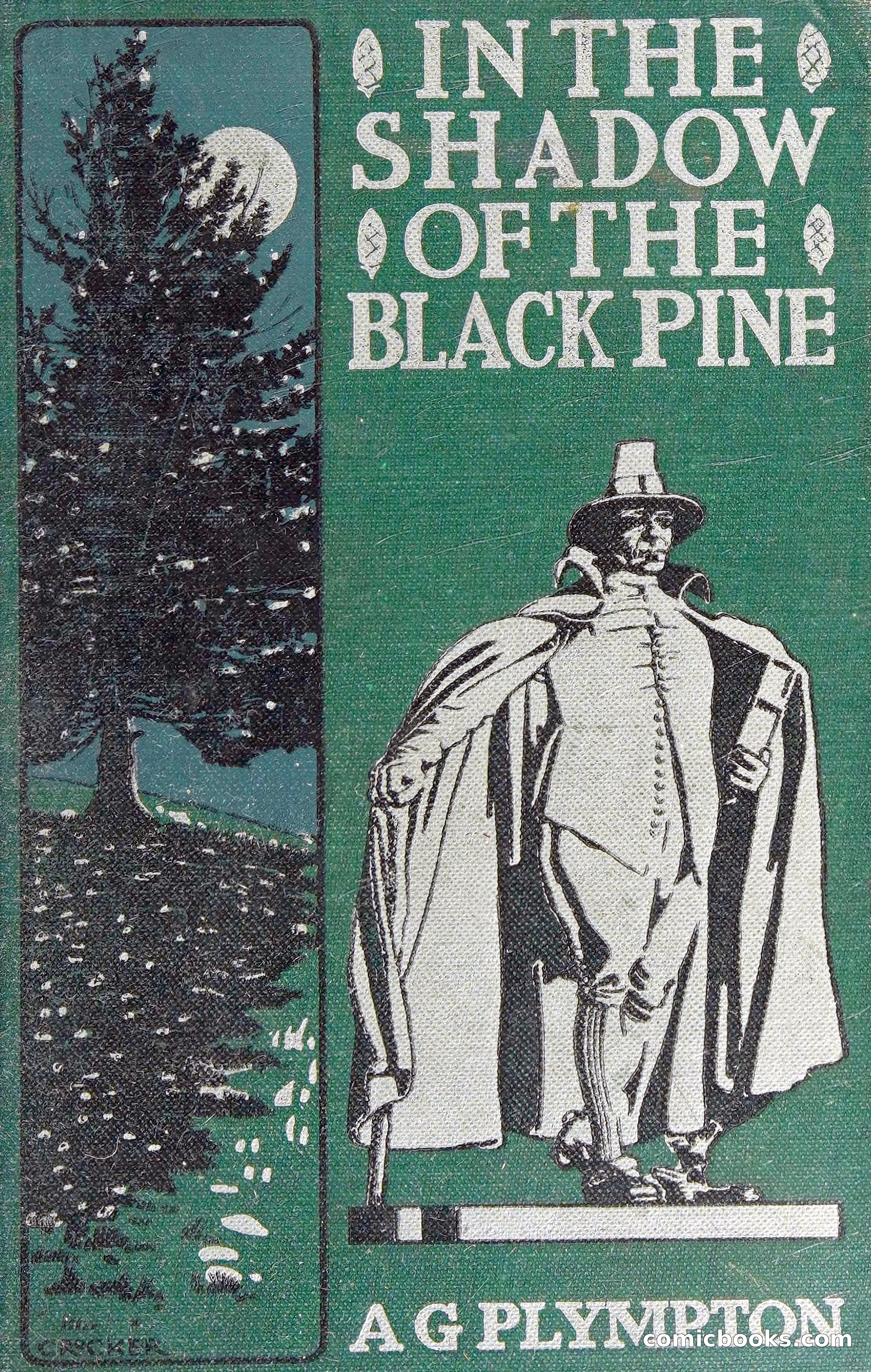 In the Shadow of the Black Pine