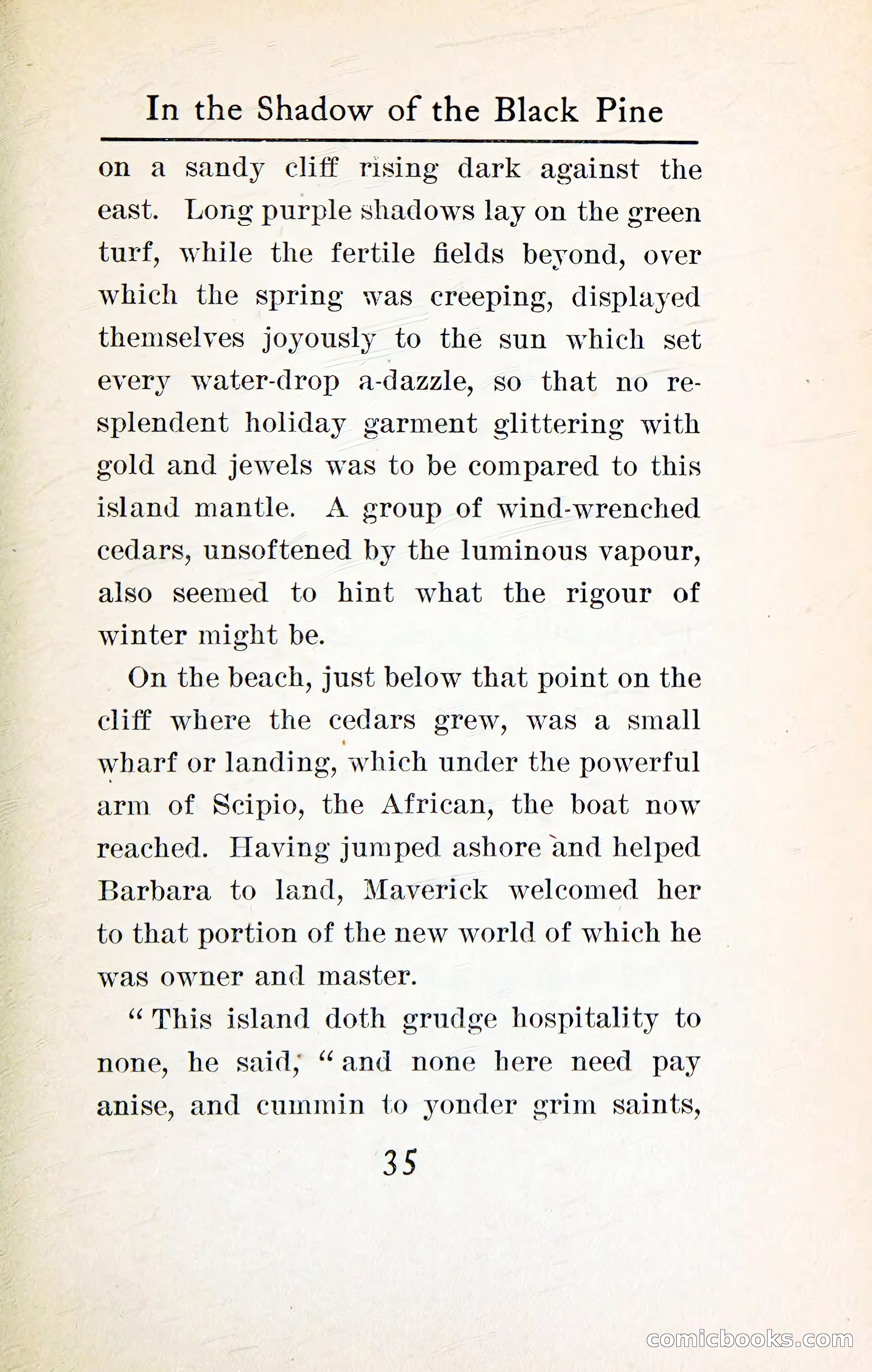 In the Shadow of the Black Pine — page 48 of 393