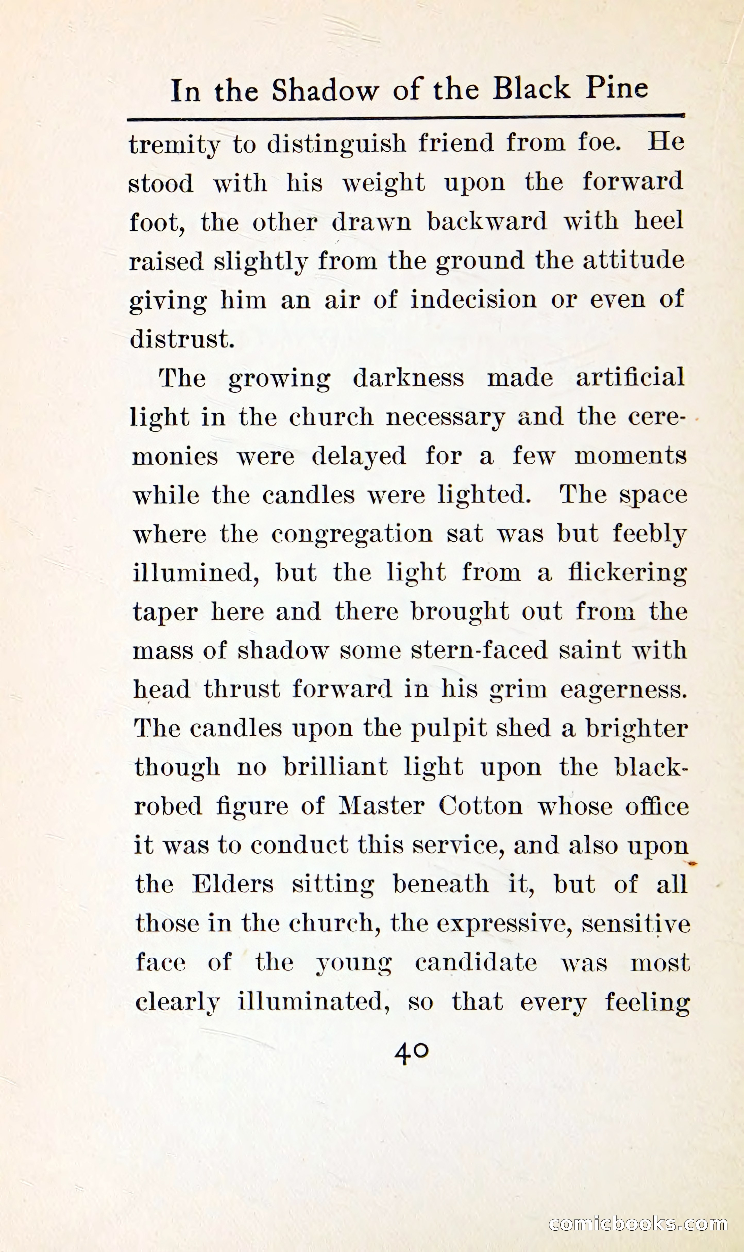 In the Shadow of the Black Pine — page 53 of 393