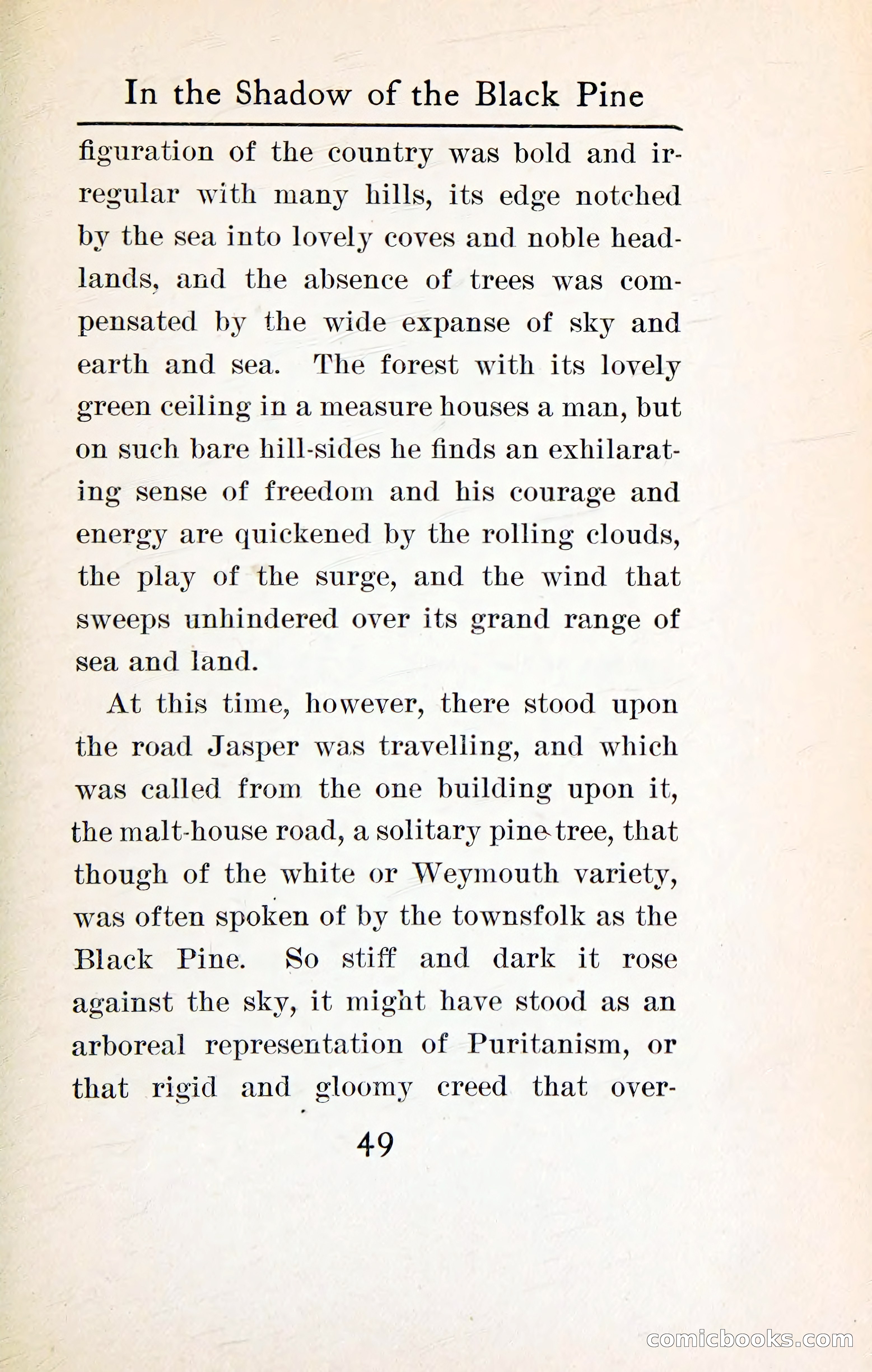 In the Shadow of the Black Pine — page 62 of 393