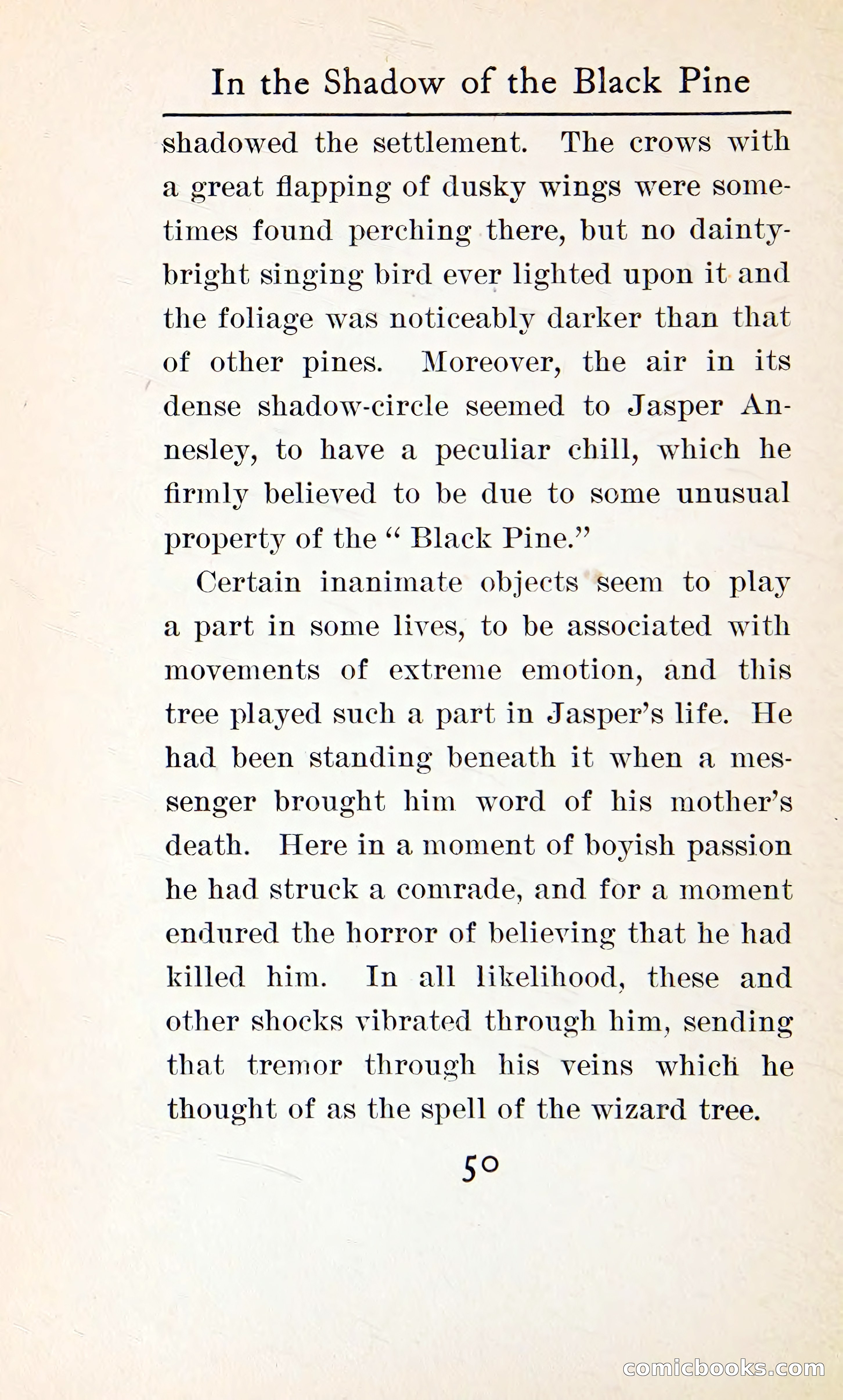 In the Shadow of the Black Pine — page 63 of 393