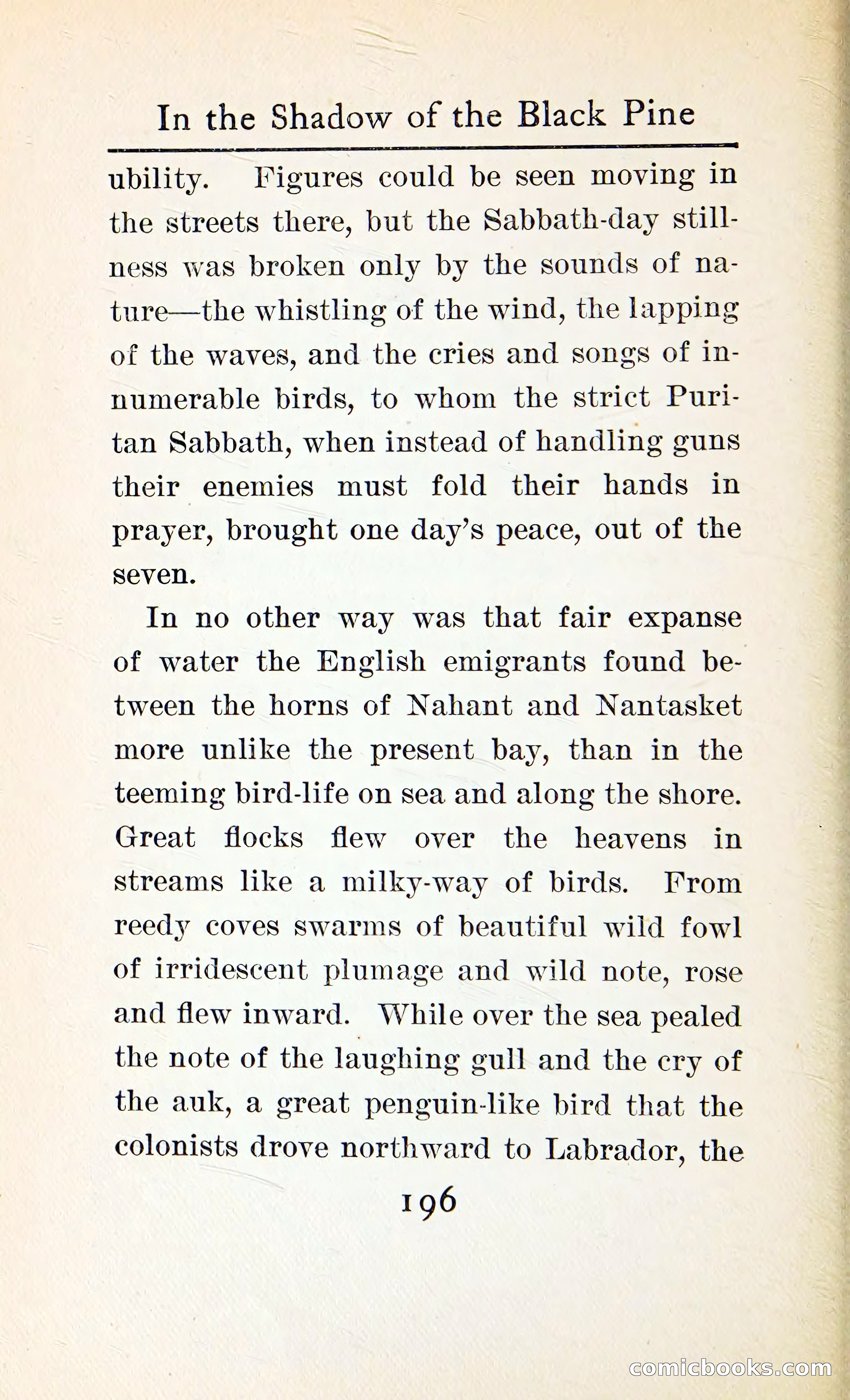In the Shadow of the Black Pine — page 209 of 393