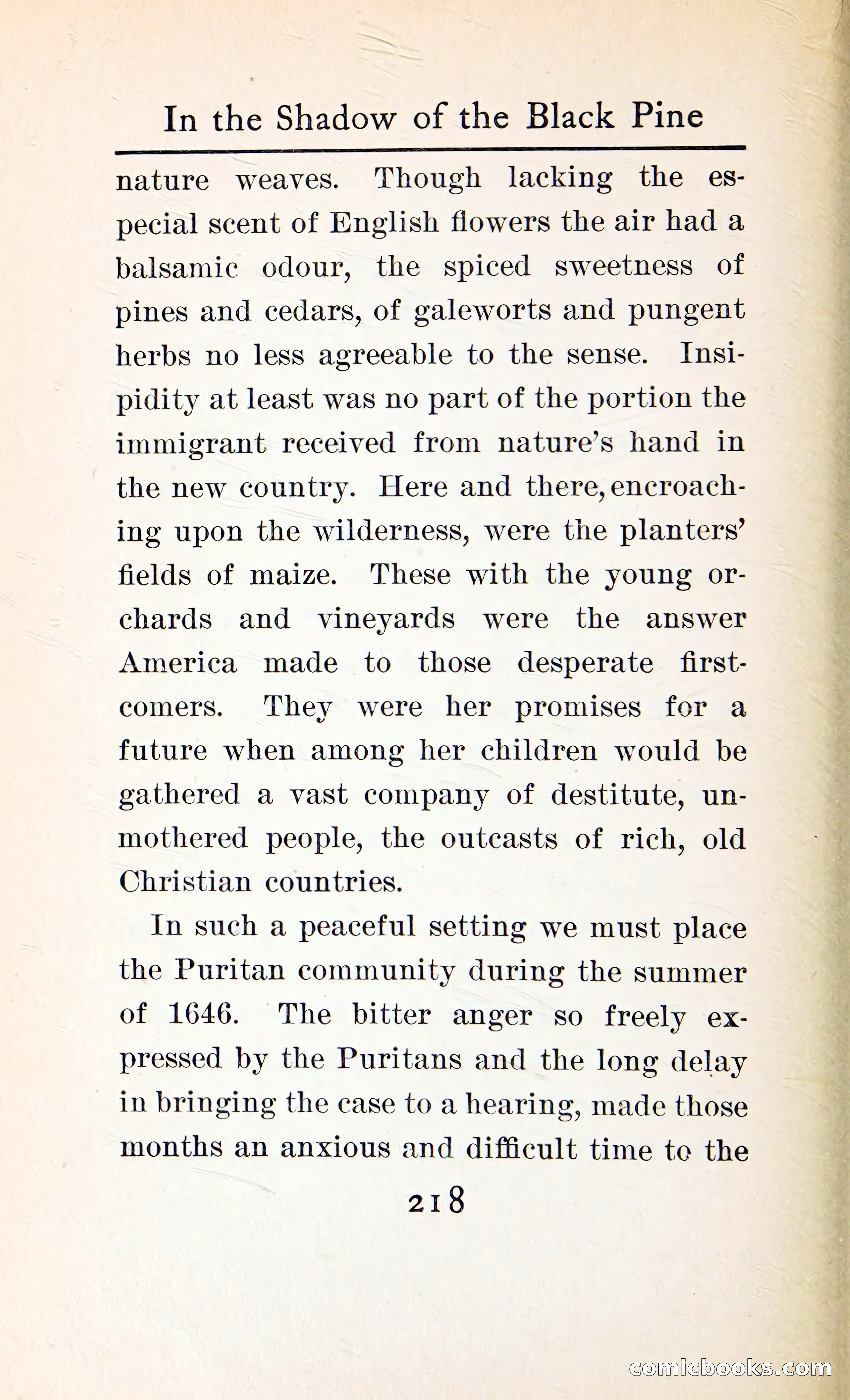 In the Shadow of the Black Pine — page 231 of 393
