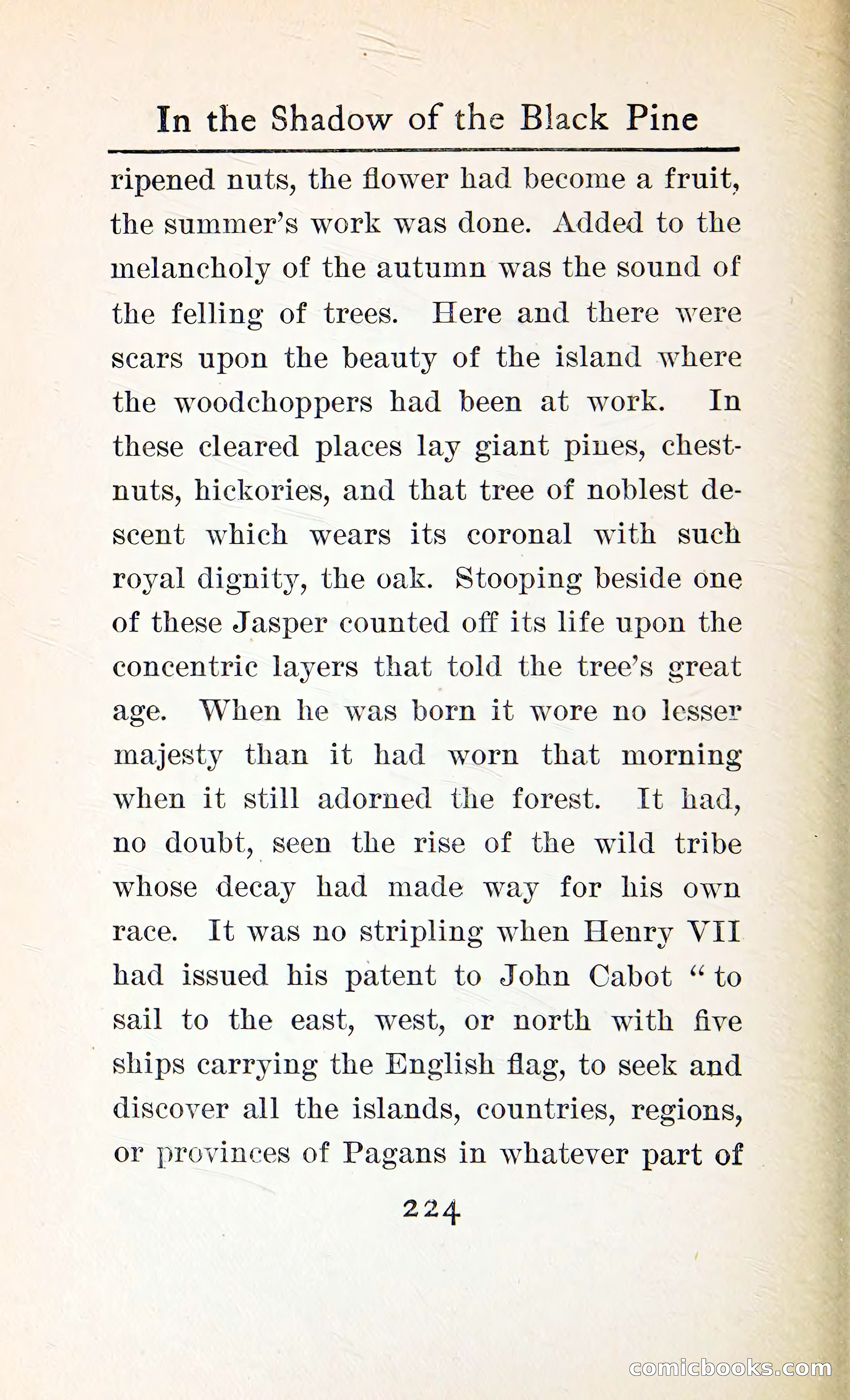 In the Shadow of the Black Pine — page 237 of 393