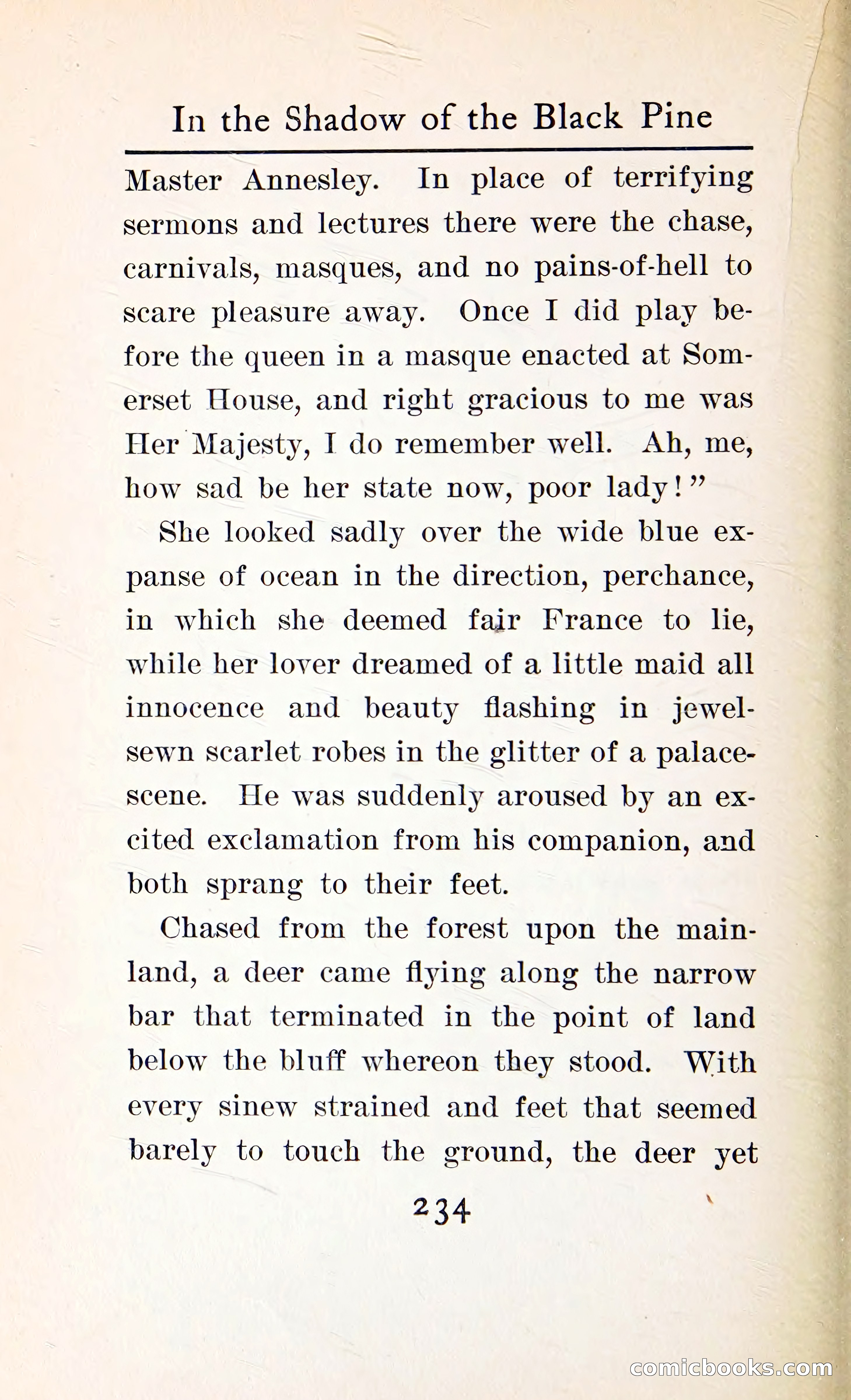 In the Shadow of the Black Pine — page 247 of 393