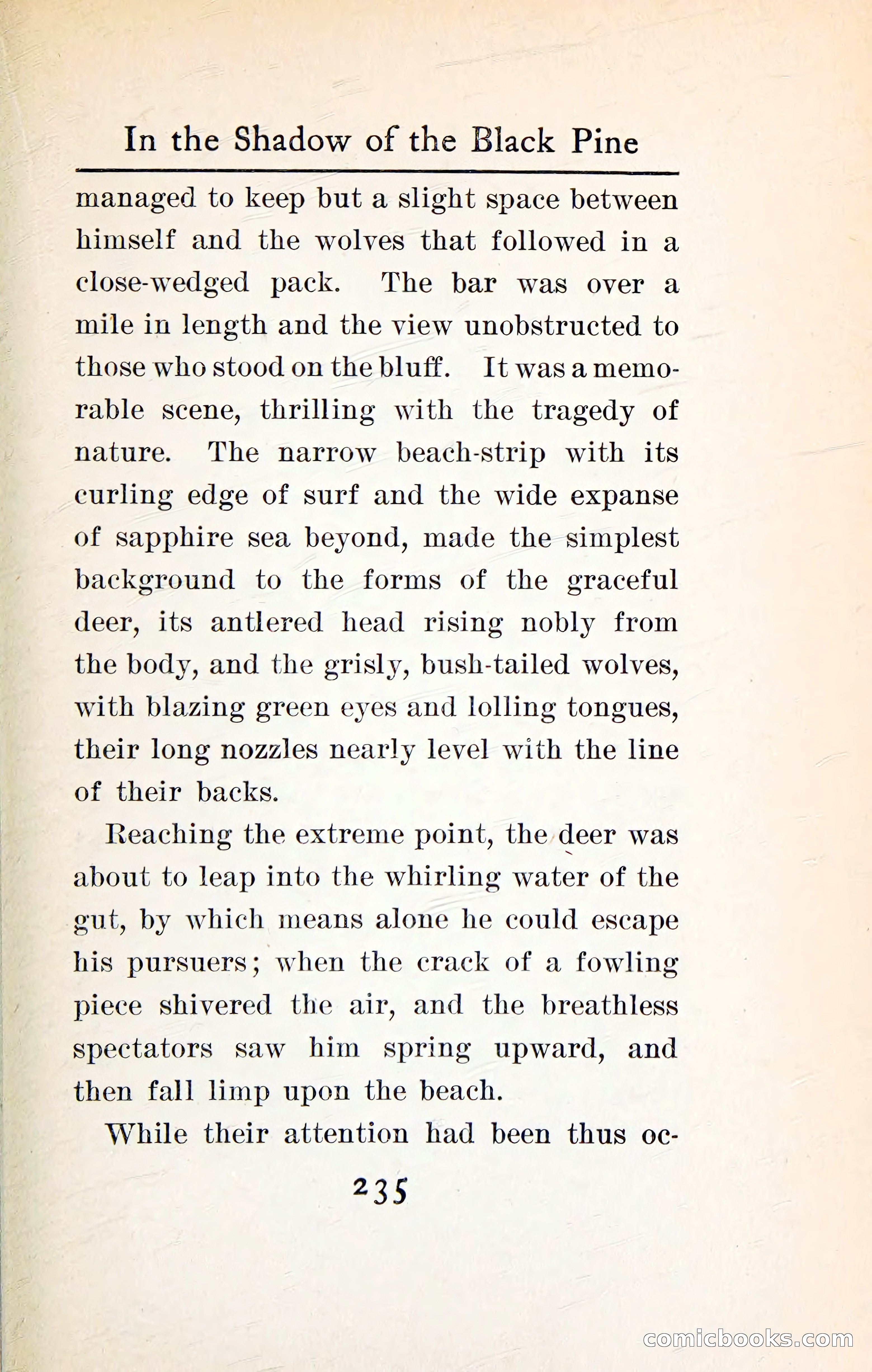 In the Shadow of the Black Pine — page 248 of 393