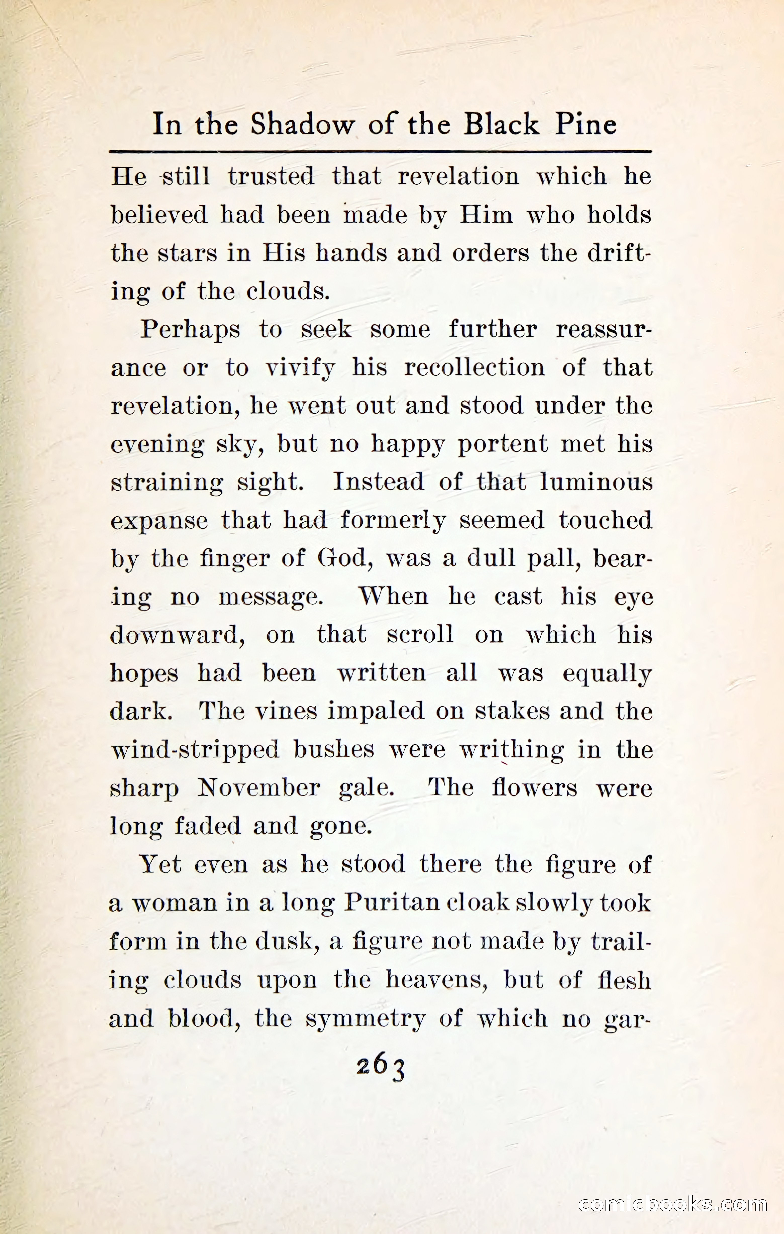 In the Shadow of the Black Pine — page 276 of 393