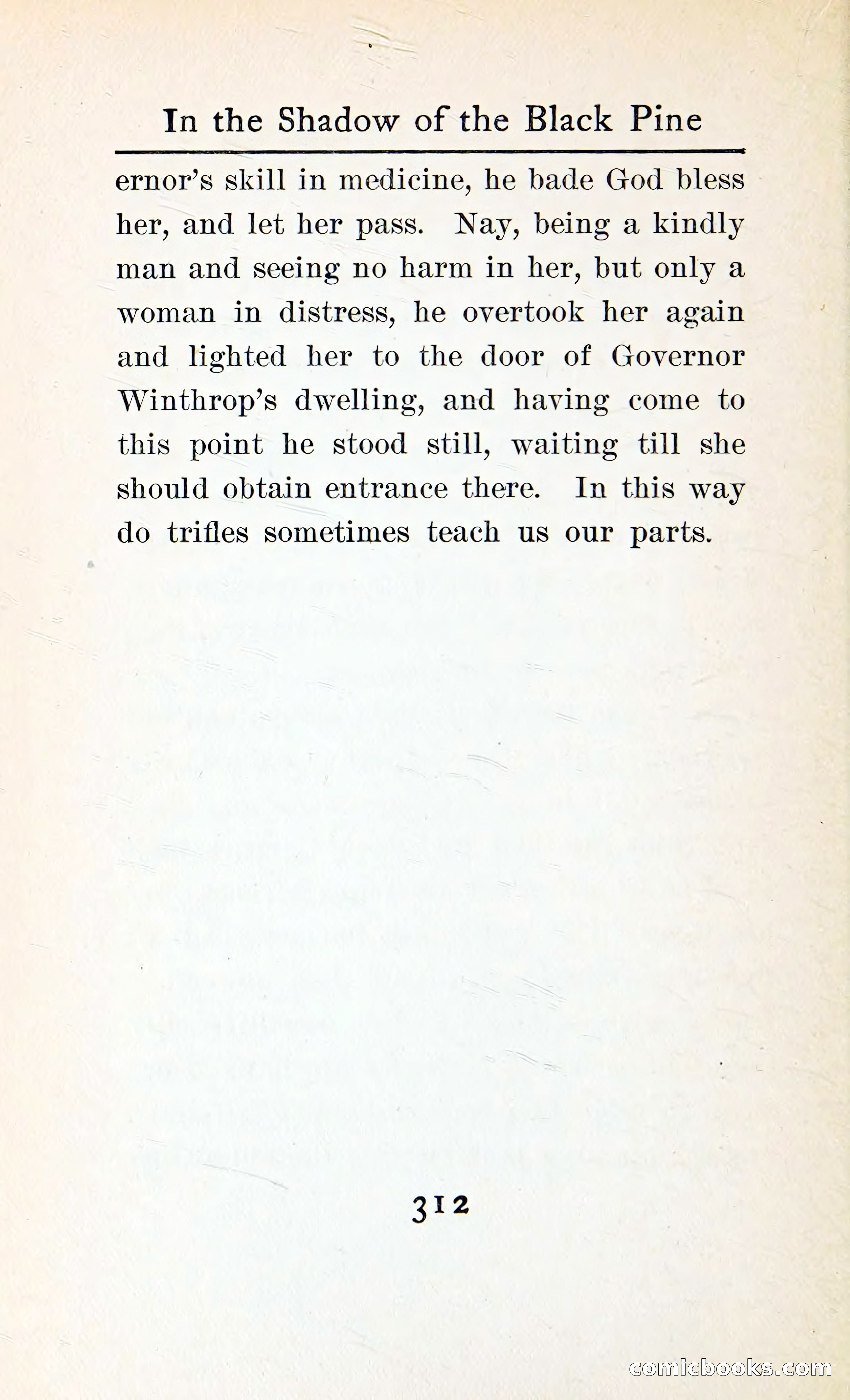 In the Shadow of the Black Pine — page 325 of 393