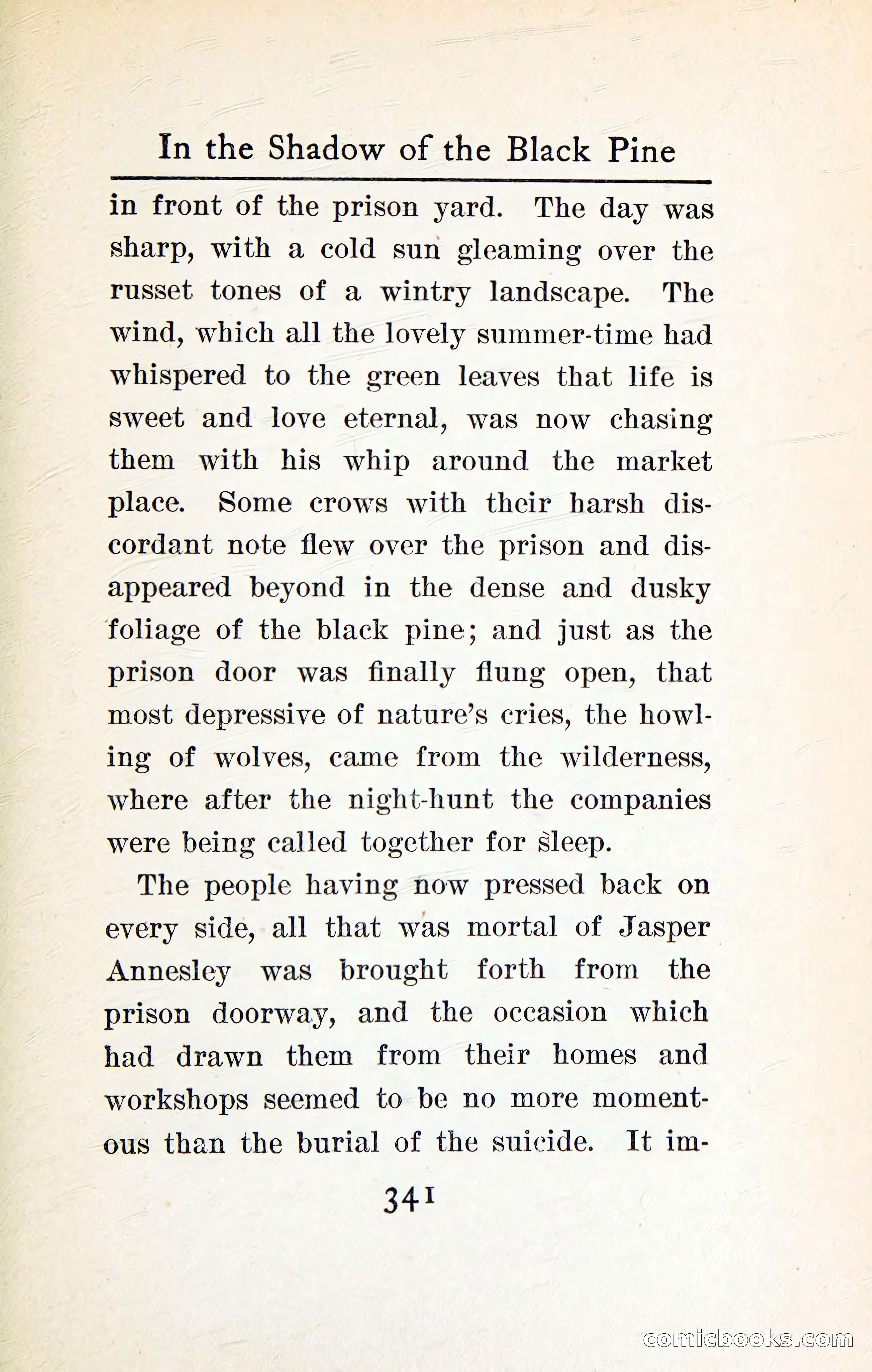 In the Shadow of the Black Pine — page 354 of 393