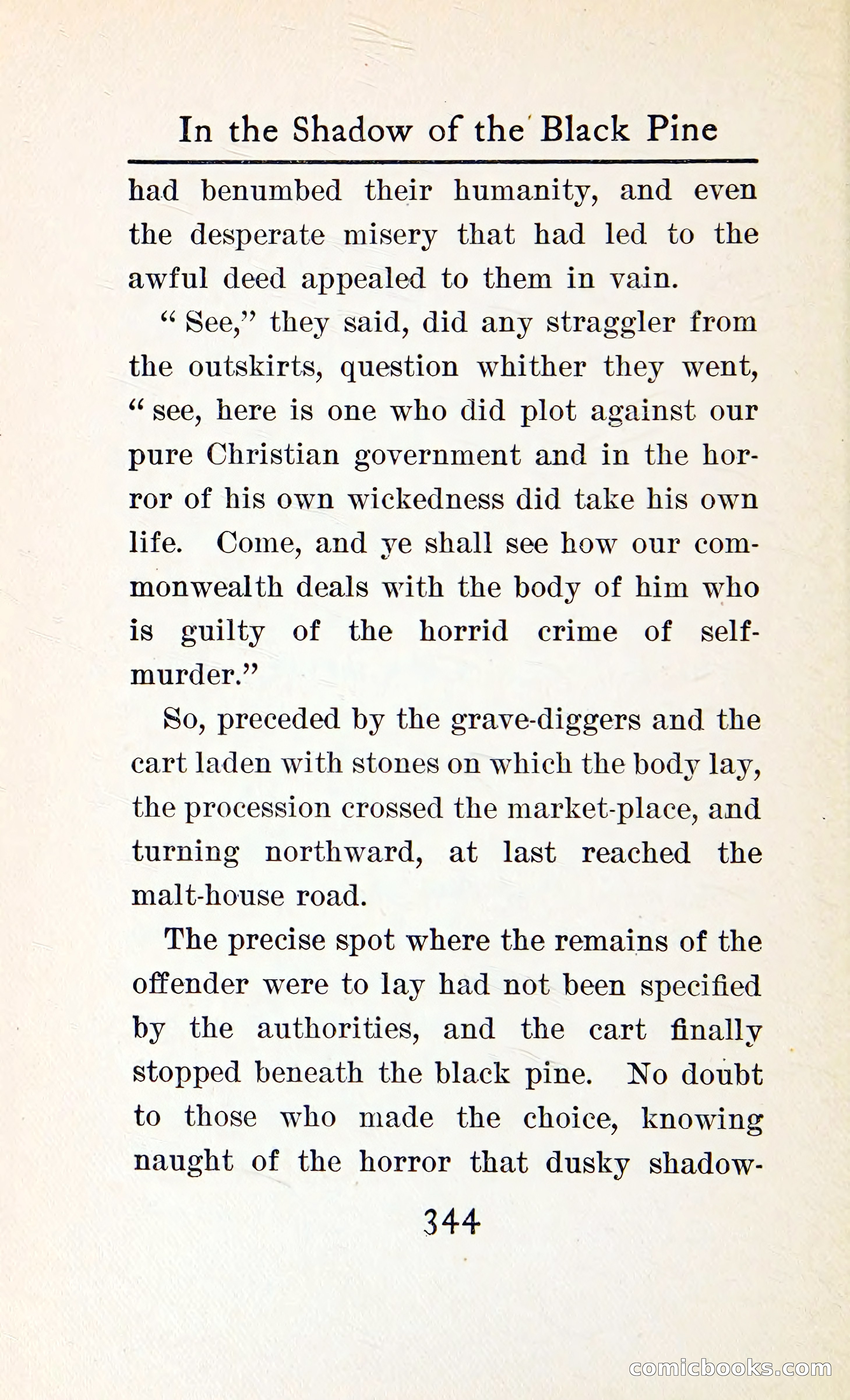 In the Shadow of the Black Pine — page 357 of 393