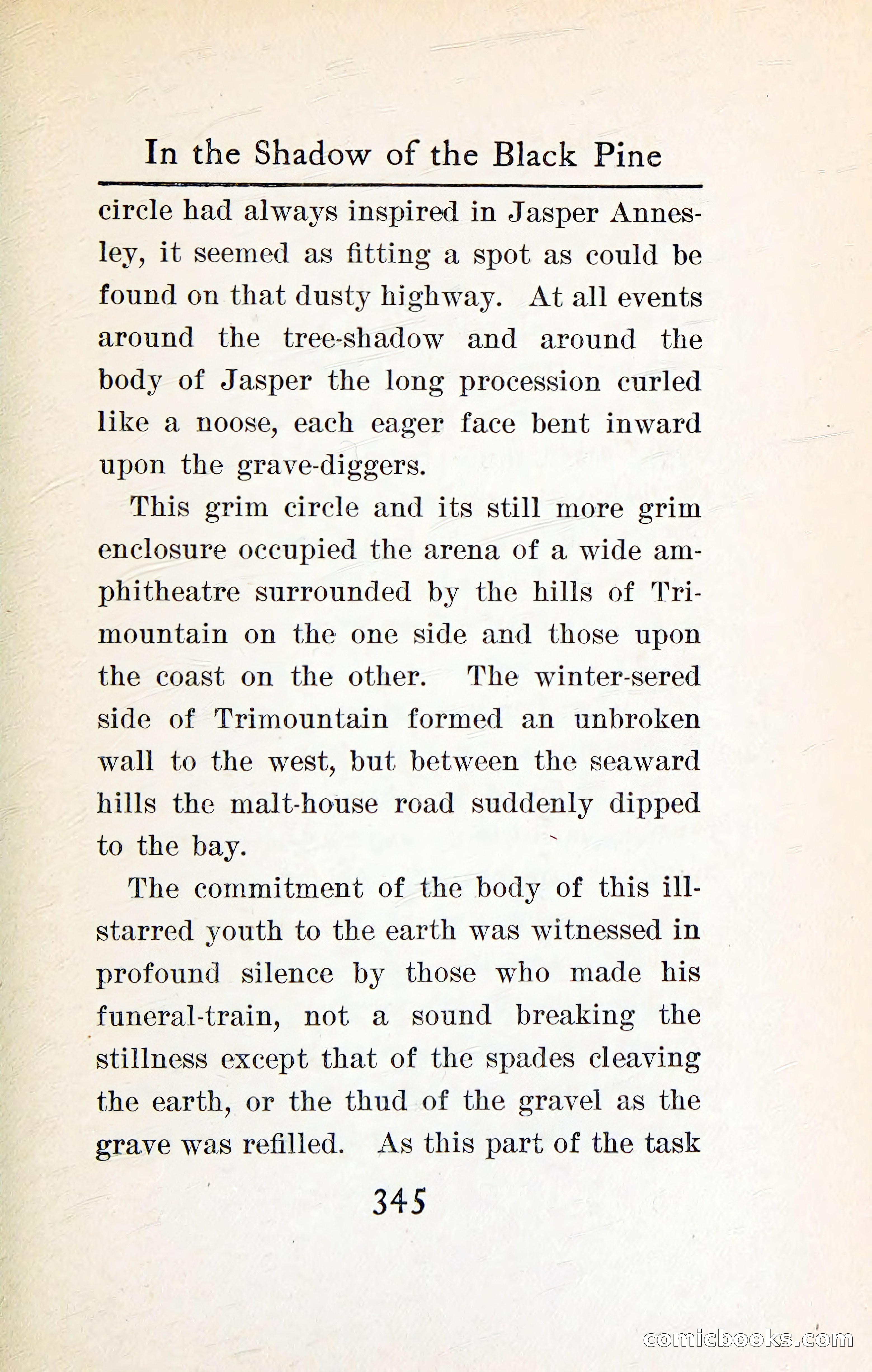 In the Shadow of the Black Pine — page 358 of 393