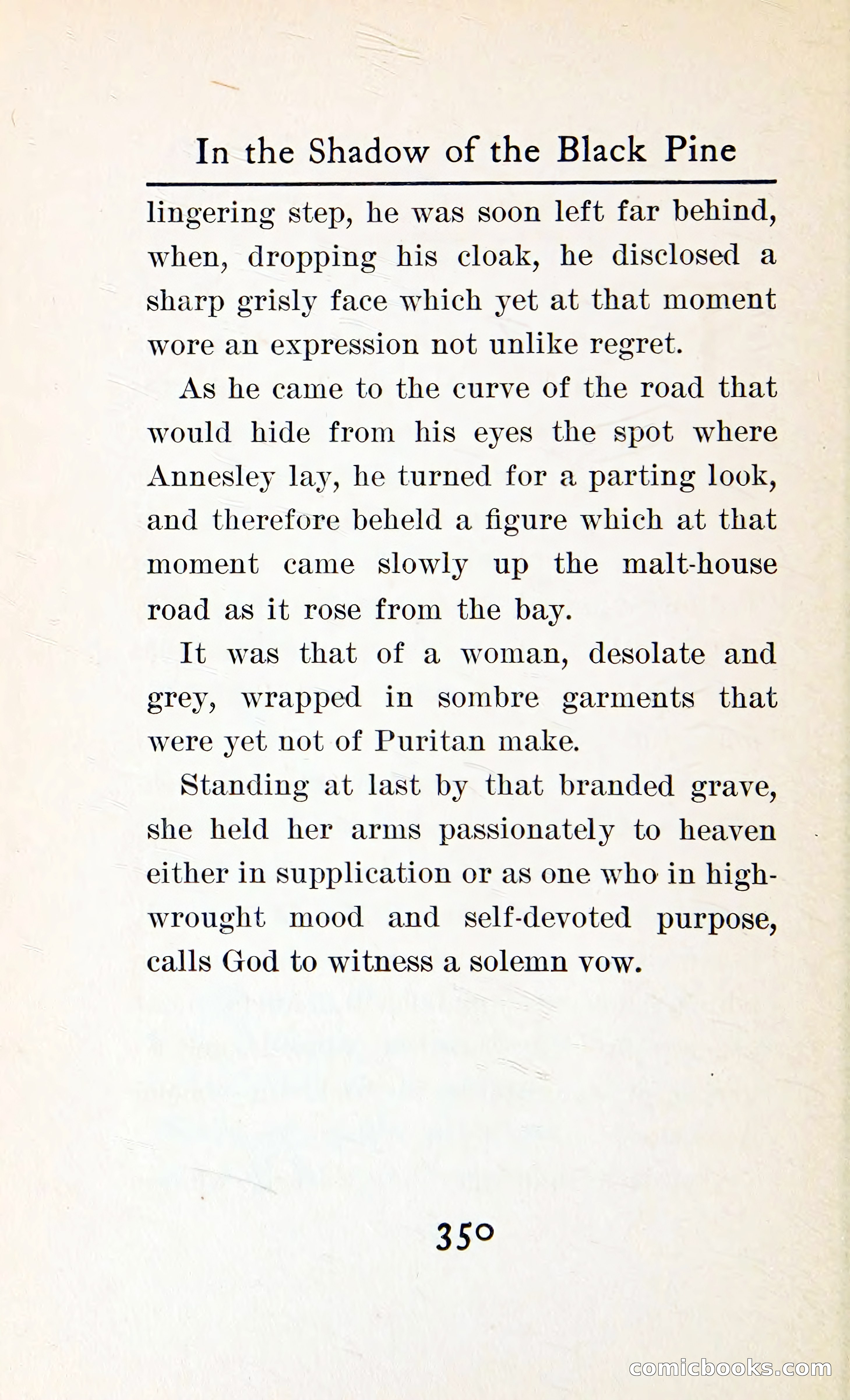 In the Shadow of the Black Pine — page 363 of 393