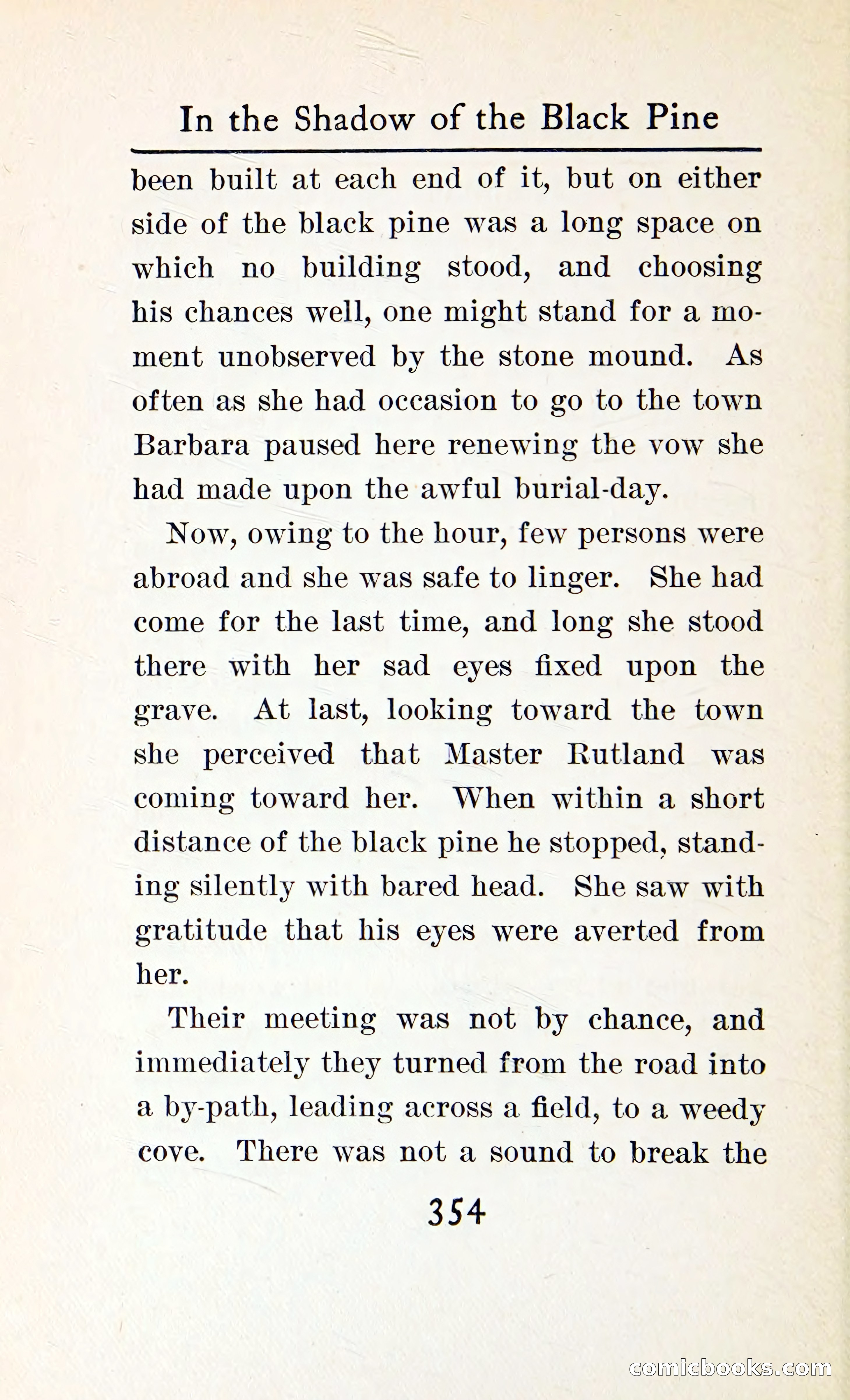 In the Shadow of the Black Pine — page 367 of 393