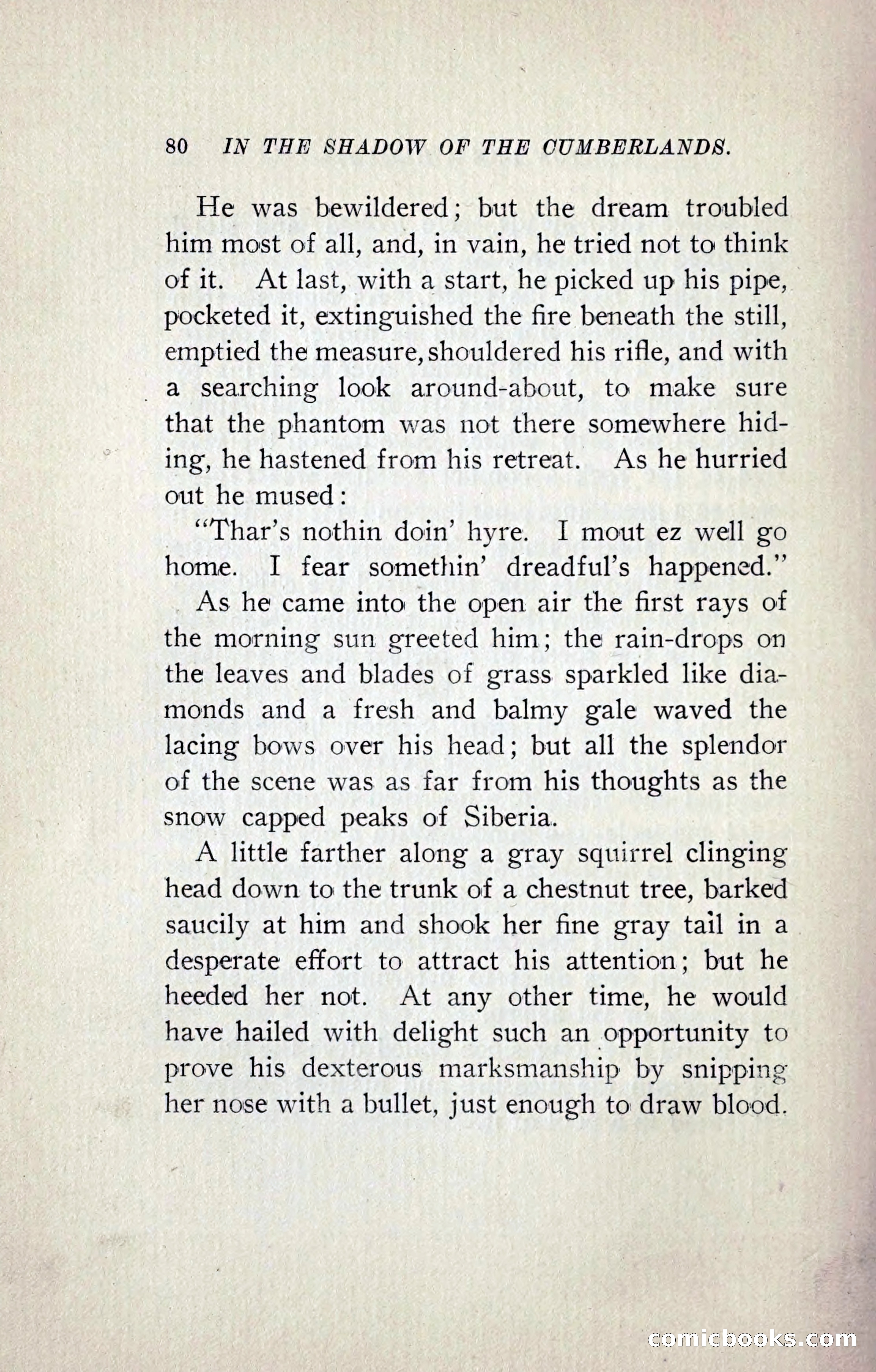 In the Shadow of the Cumberlands — page 107 of 241