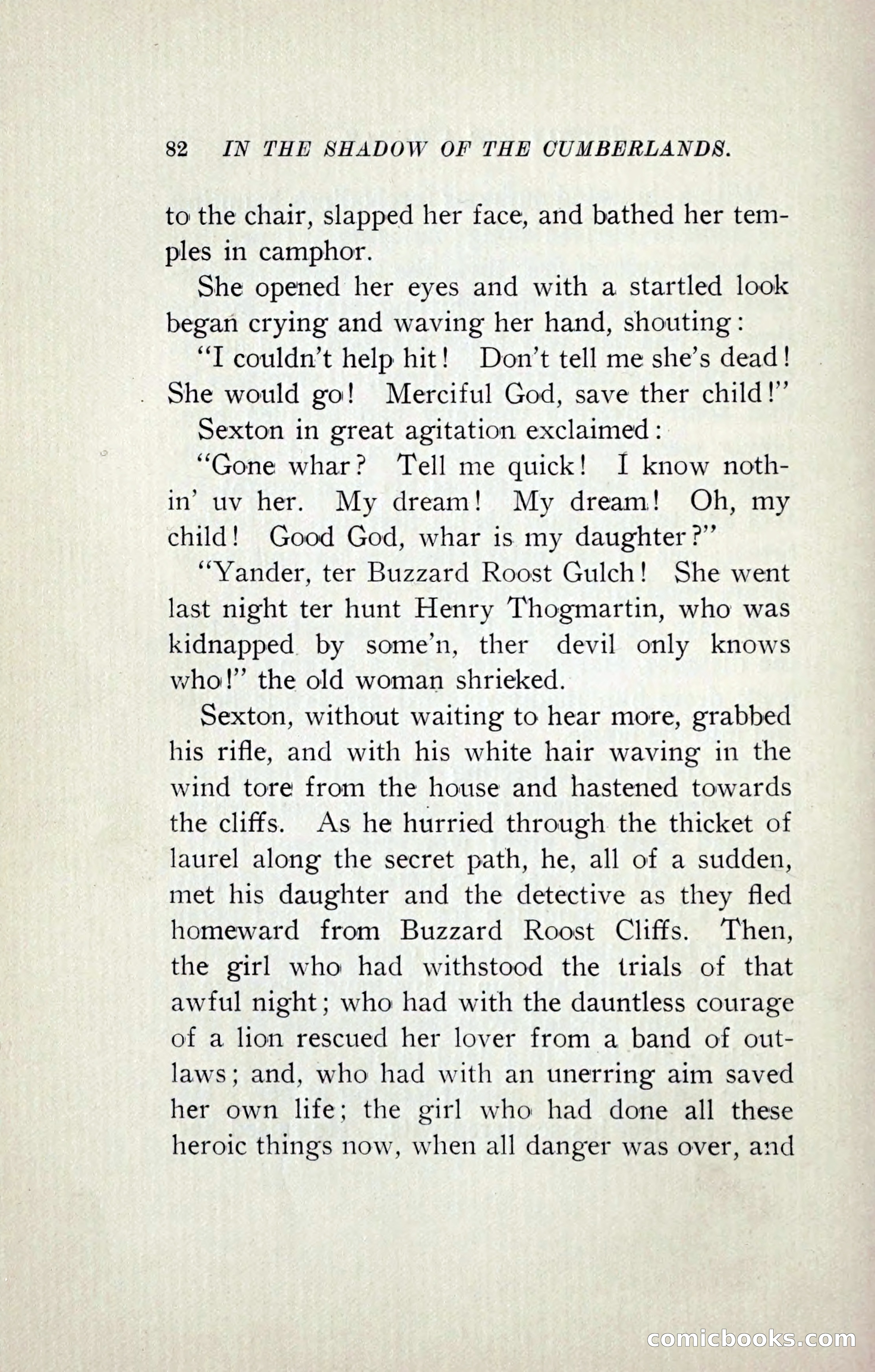 In the Shadow of the Cumberlands — page 111 of 241
