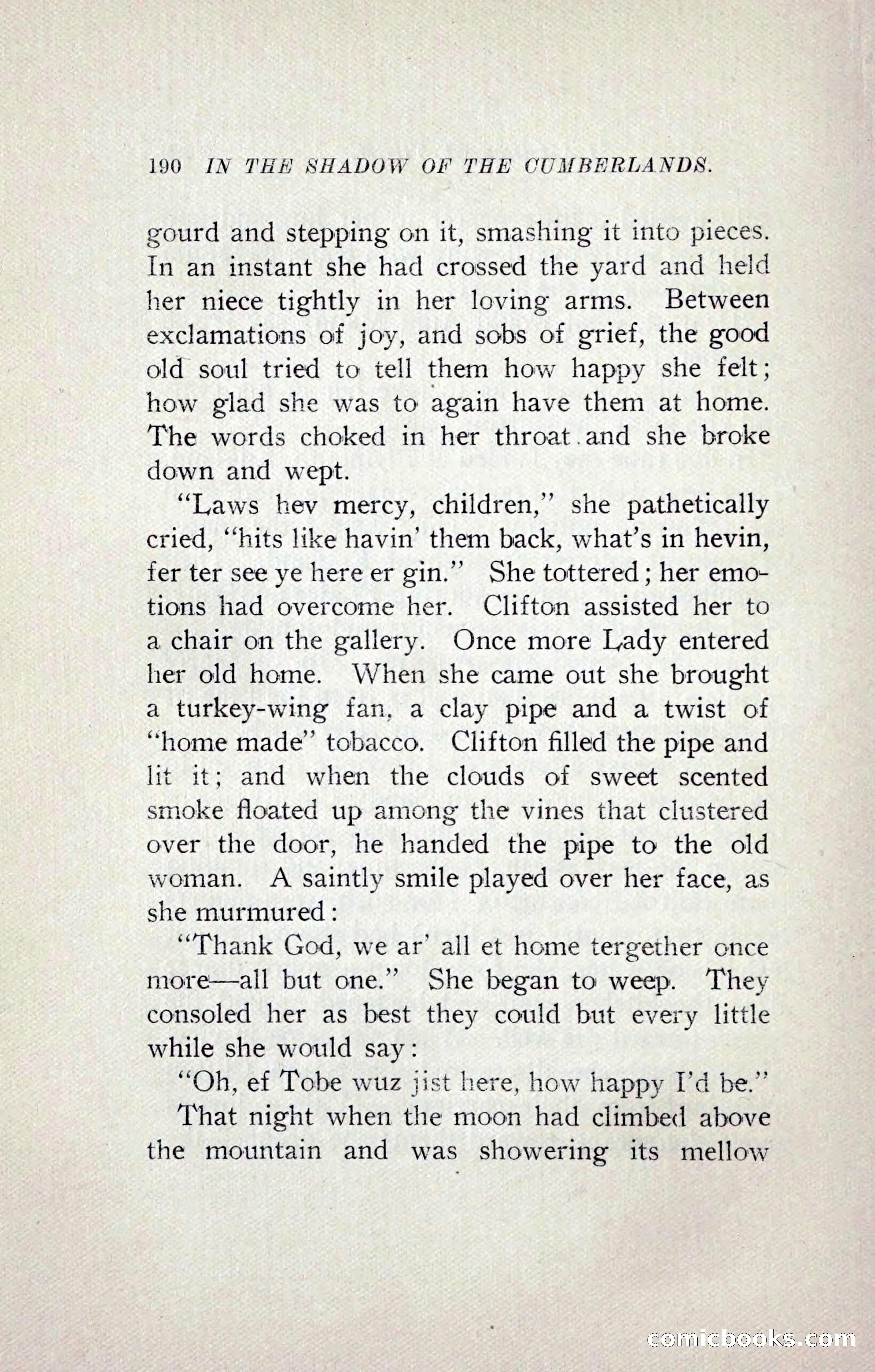 In the Shadow of the Cumberlands — page 231 of 241