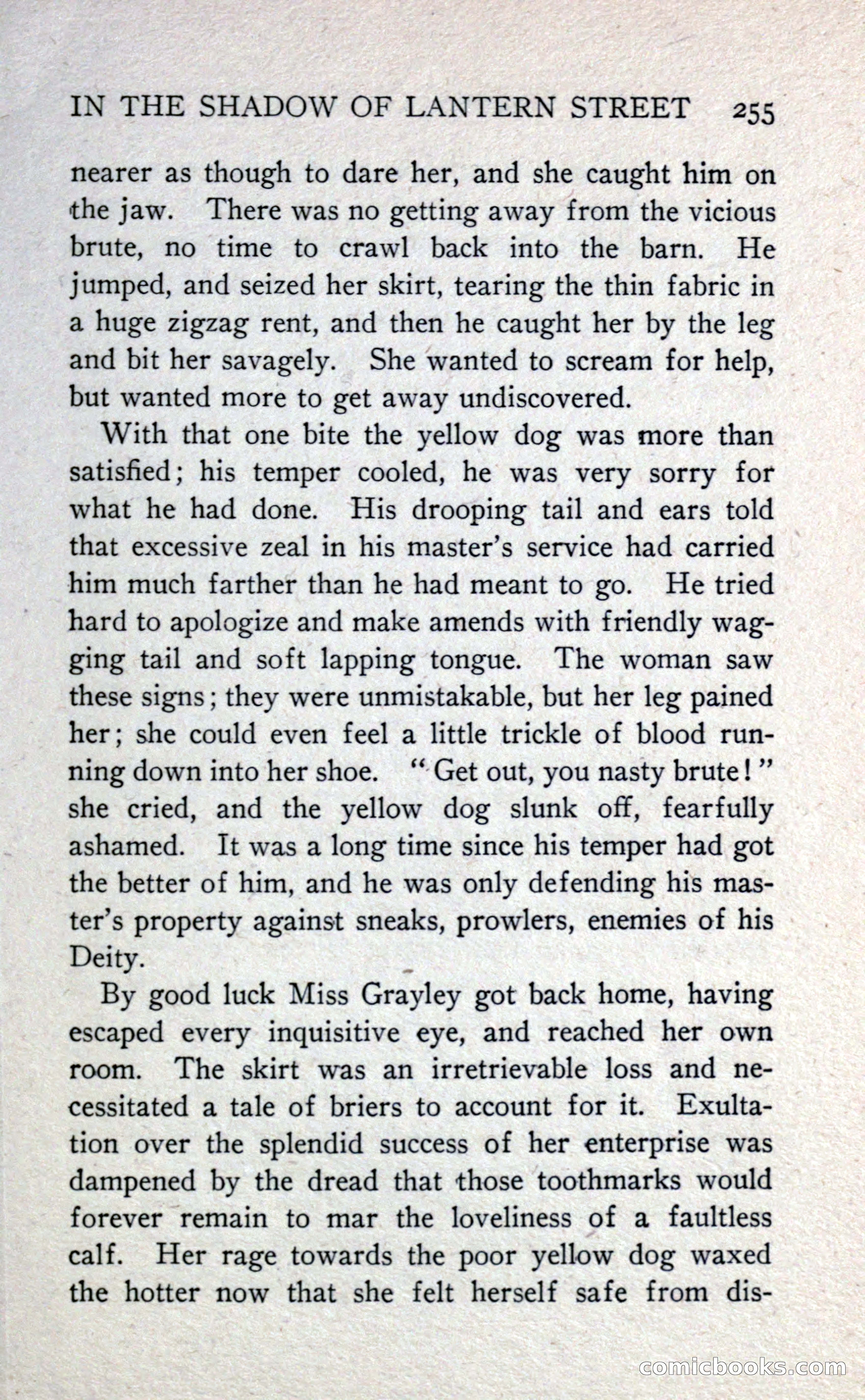 In the Shadow of Lantern Street — page 263 of 330