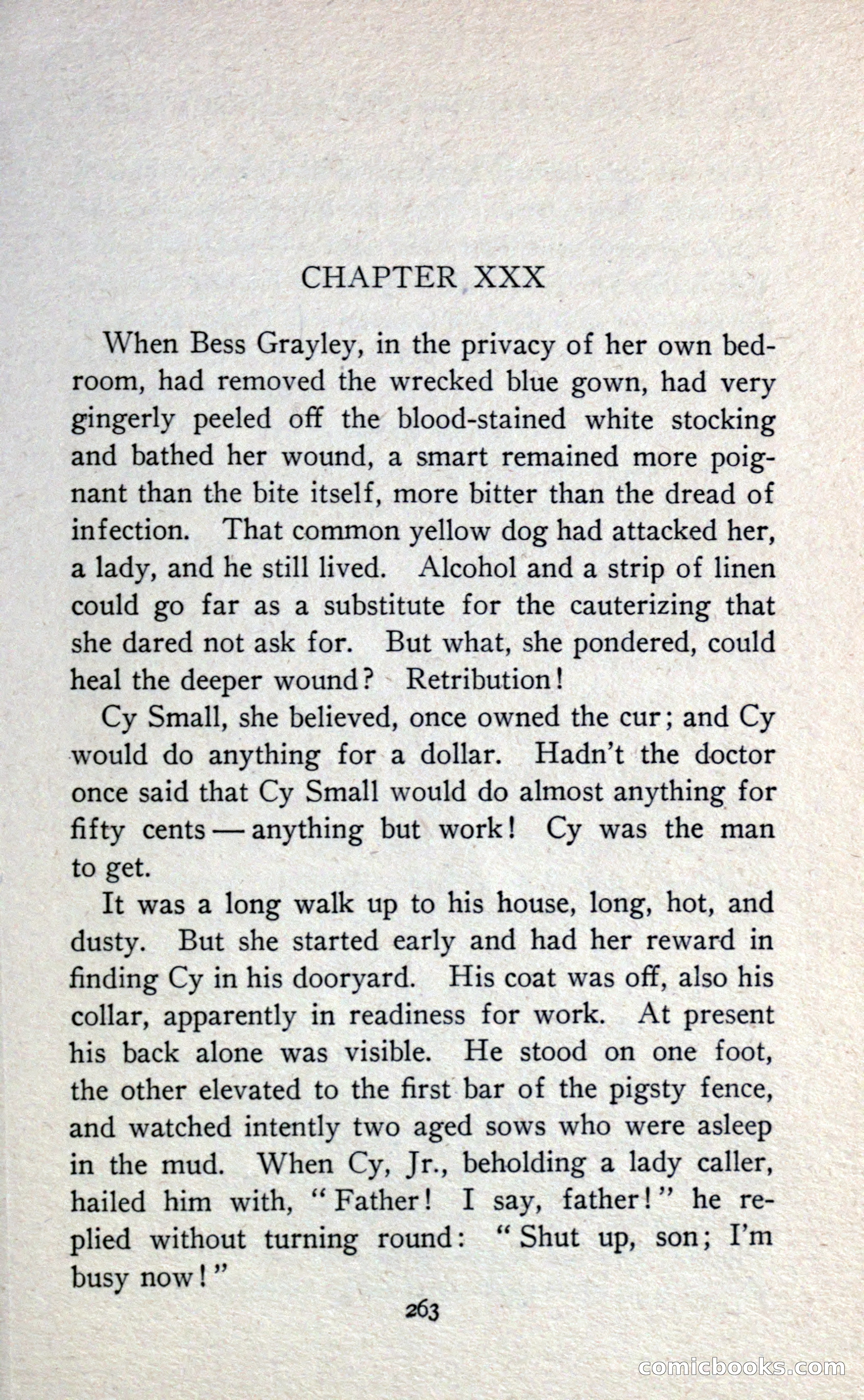 In the Shadow of Lantern Street — page 271 of 330