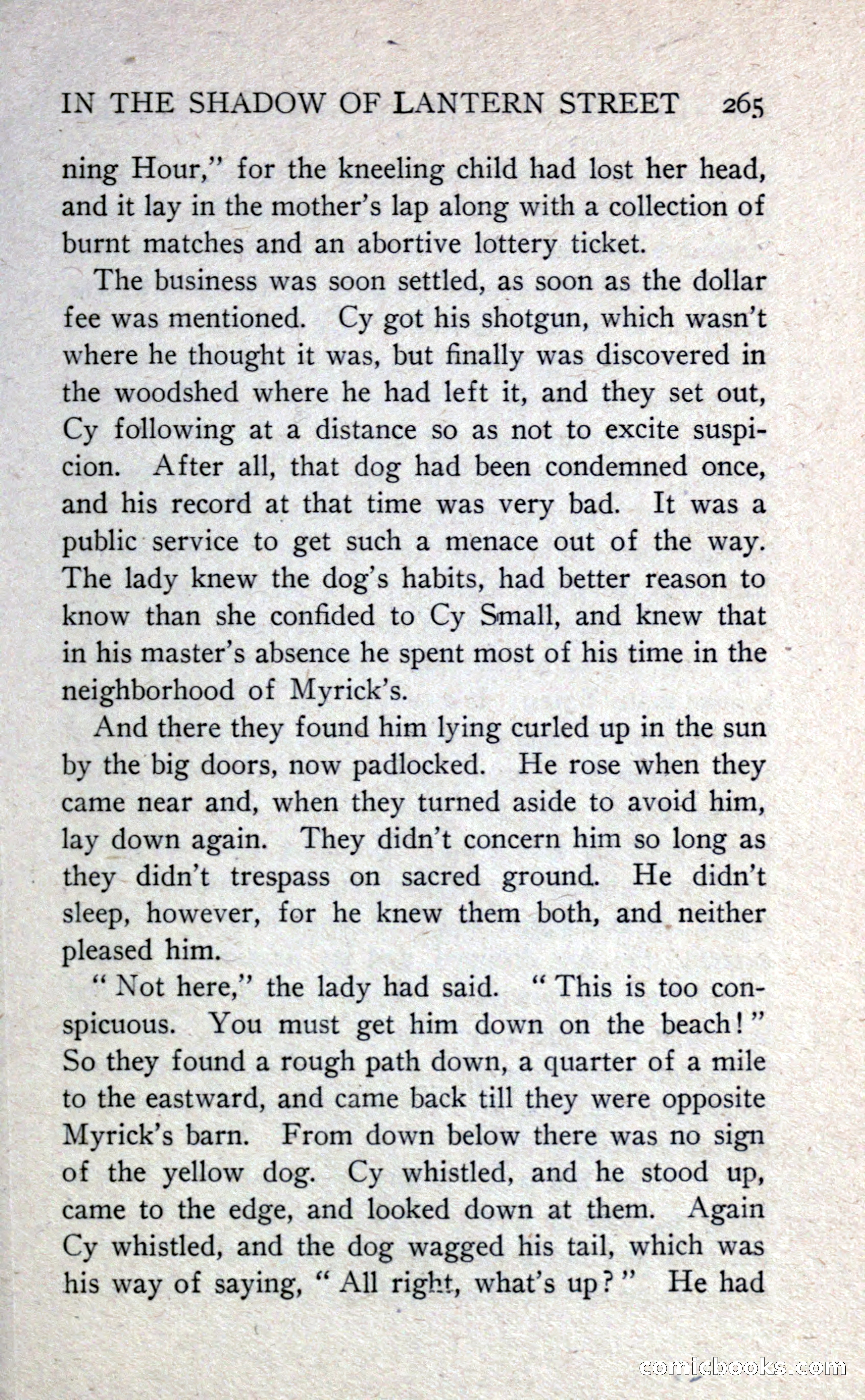 In the Shadow of Lantern Street — page 273 of 330