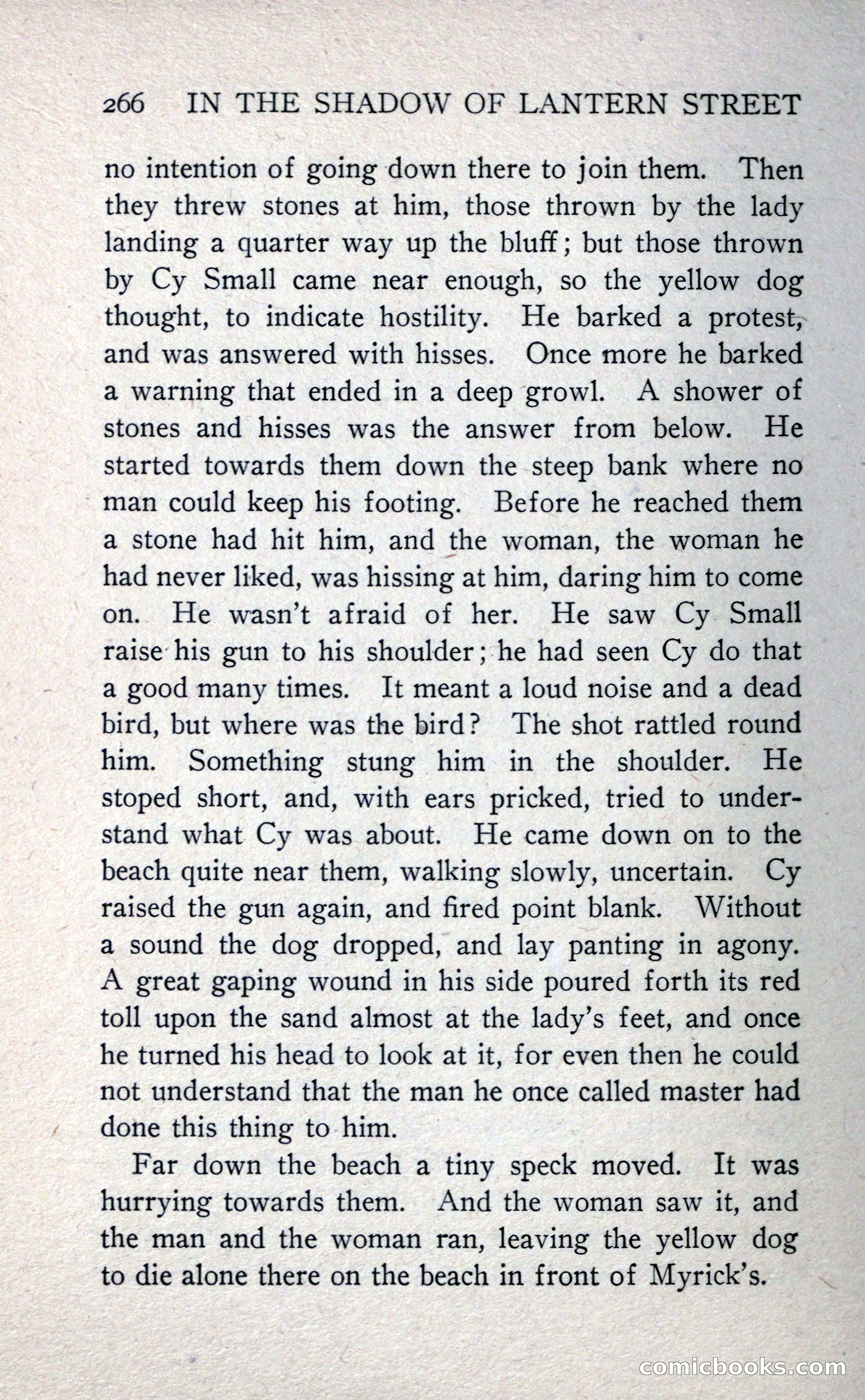In the Shadow of Lantern Street — page 274 of 330