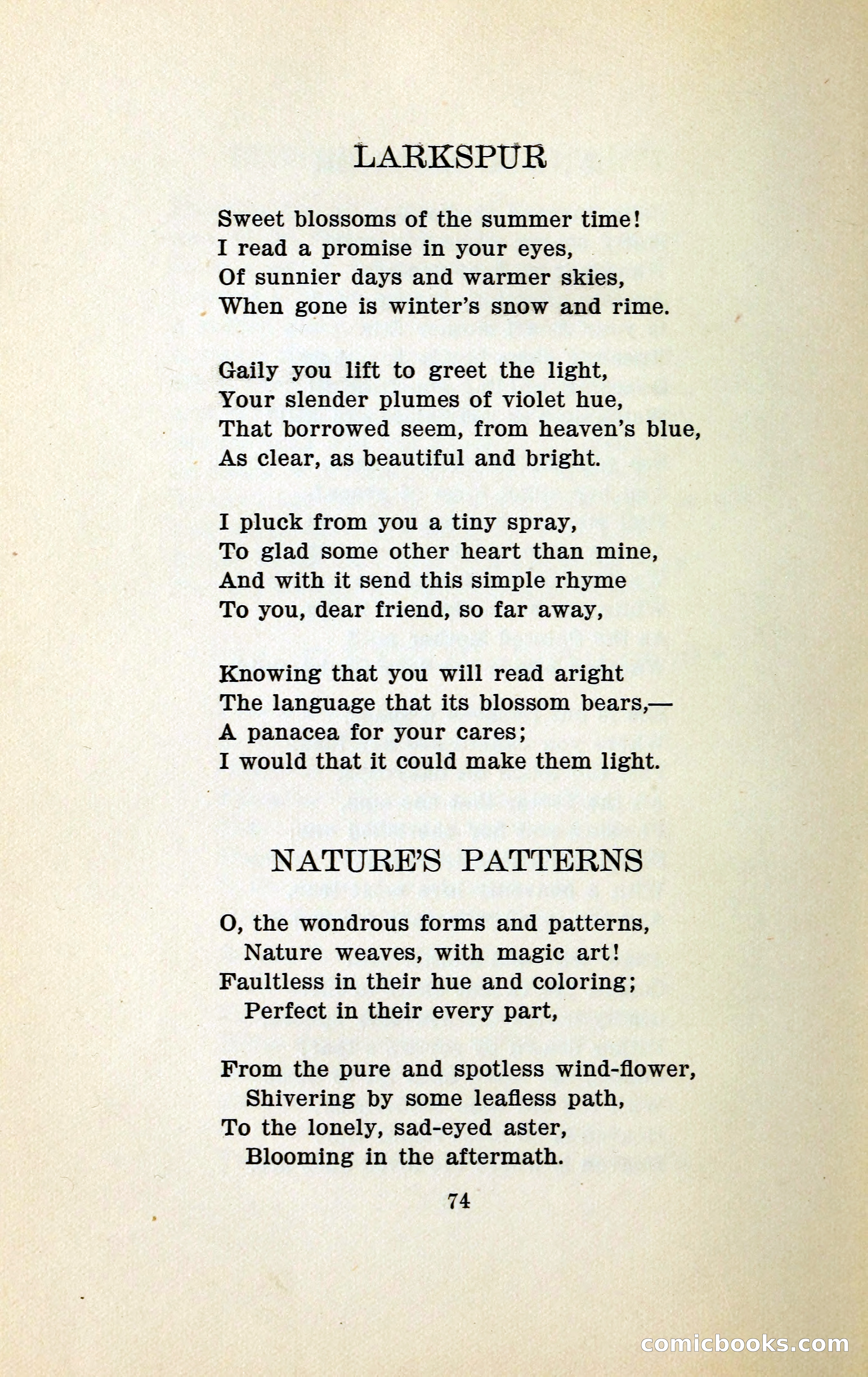 In the Shadow of the Pines — page 85 of 91