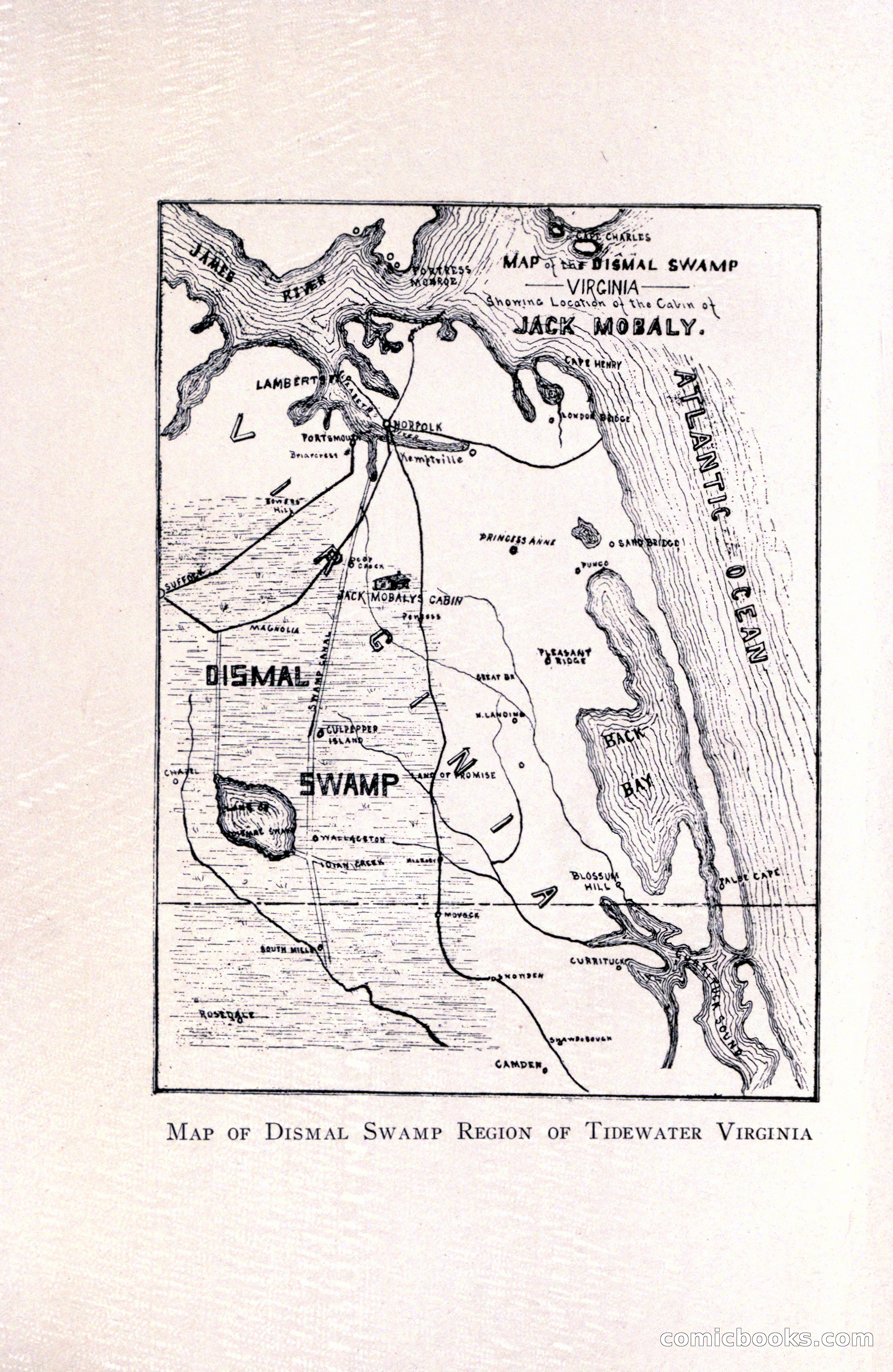 In the Shadow of the Pines: A Tale of Tidewater Virginia — page 16 of 287