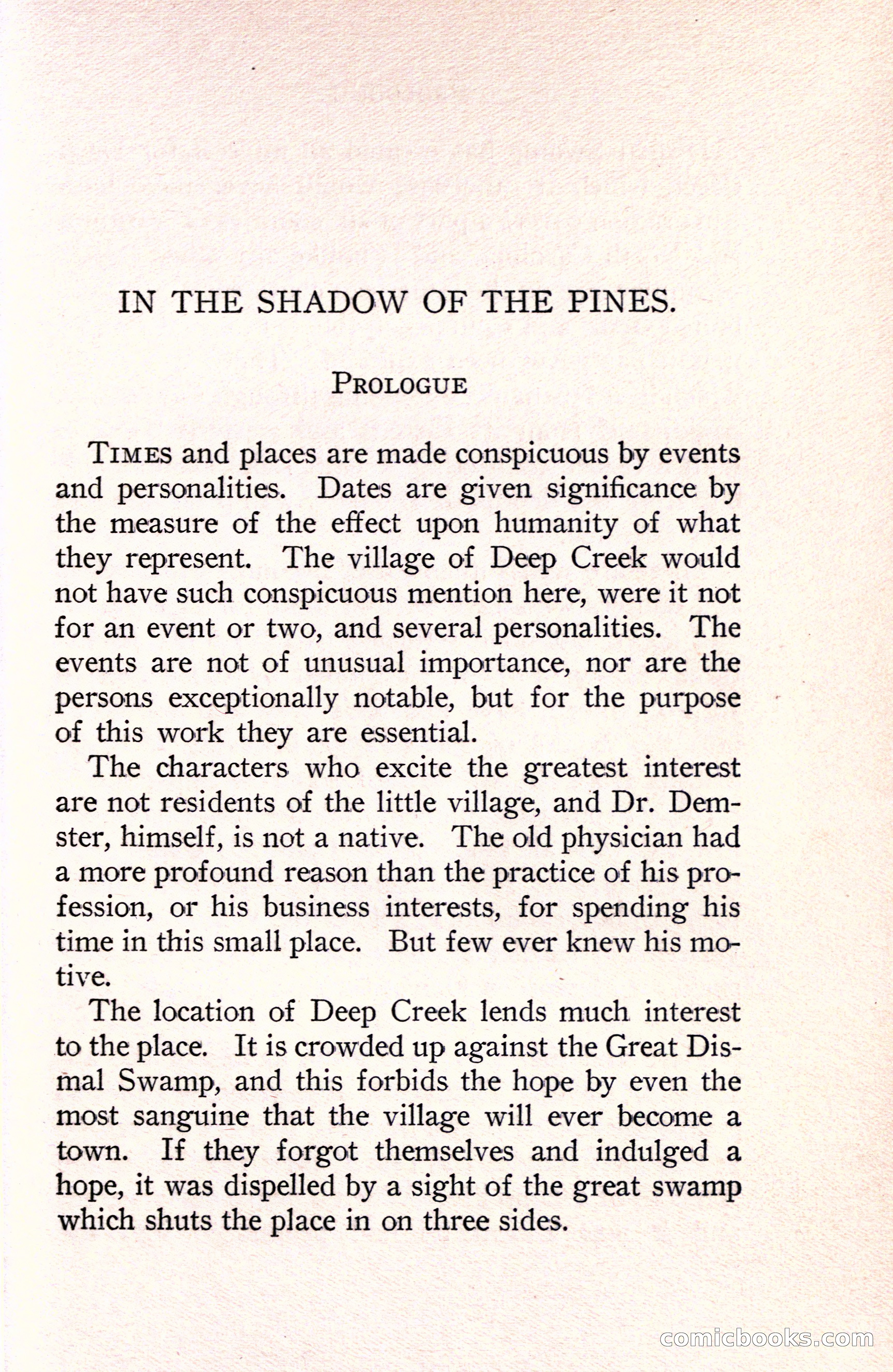 In the Shadow of the Pines: A Tale of Tidewater Virginia — page 21 of 287