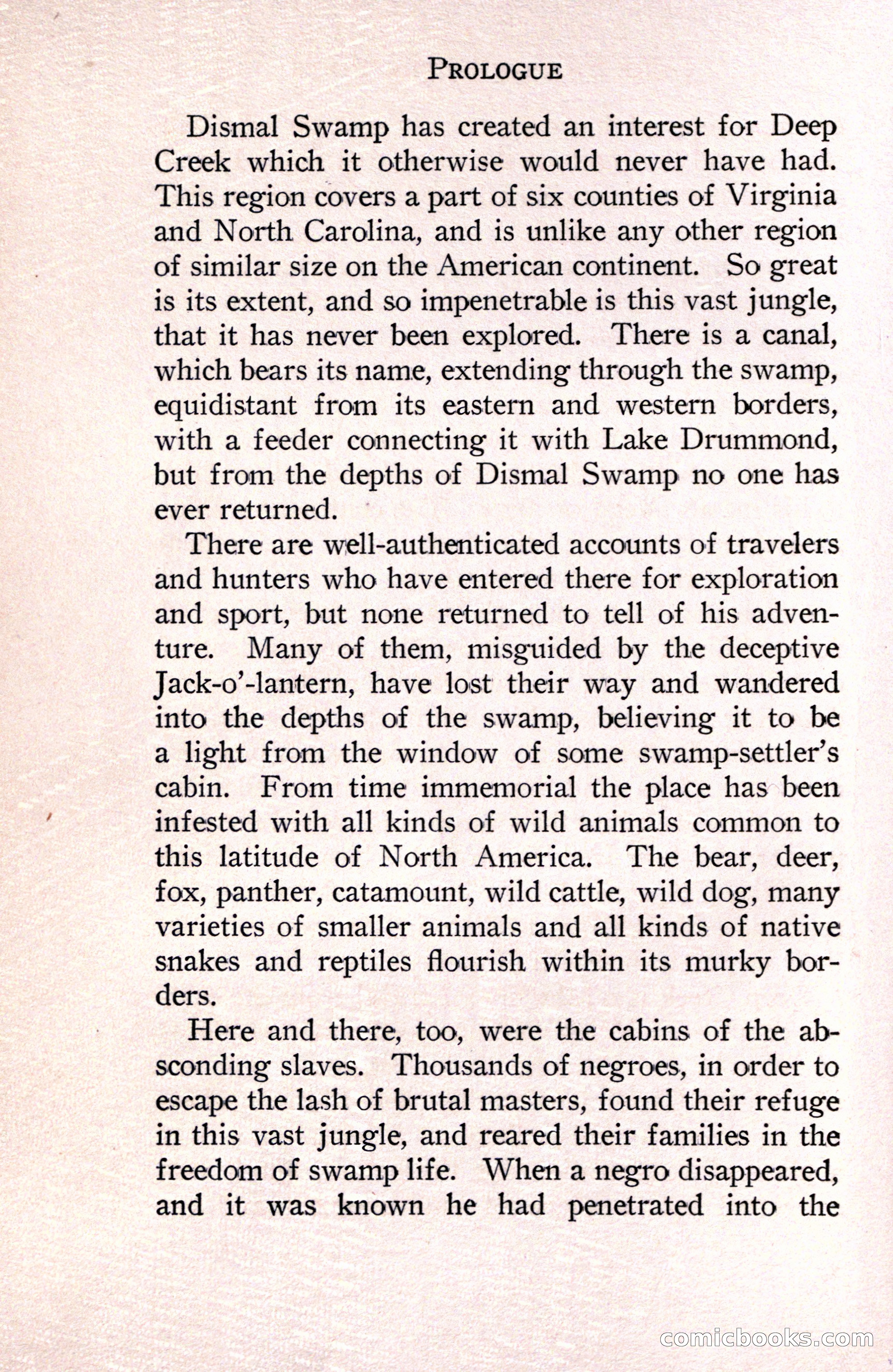 In the Shadow of the Pines: A Tale of Tidewater Virginia — page 22 of 287