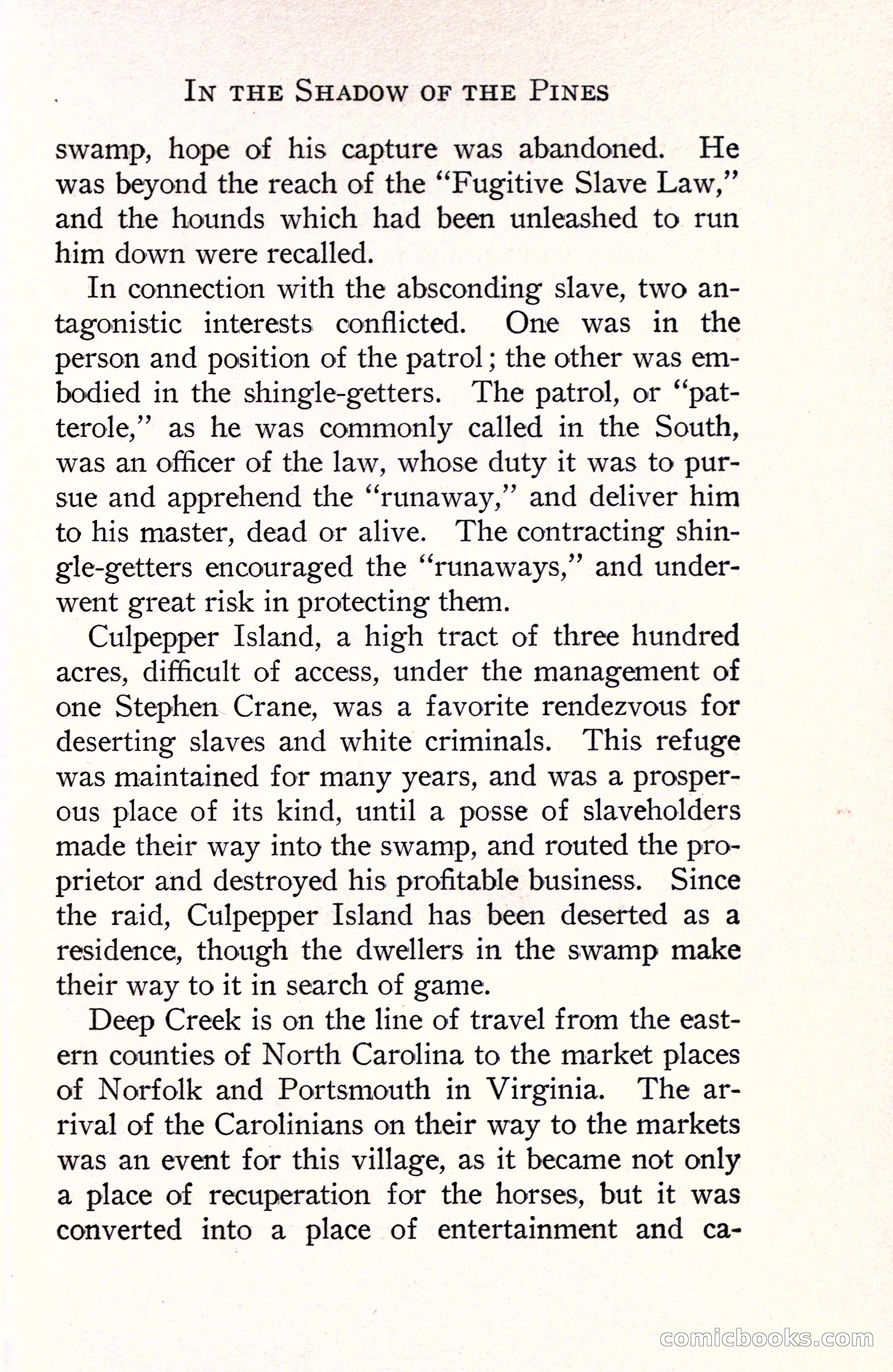 In the Shadow of the Pines: A Tale of Tidewater Virginia — page 23 of 287