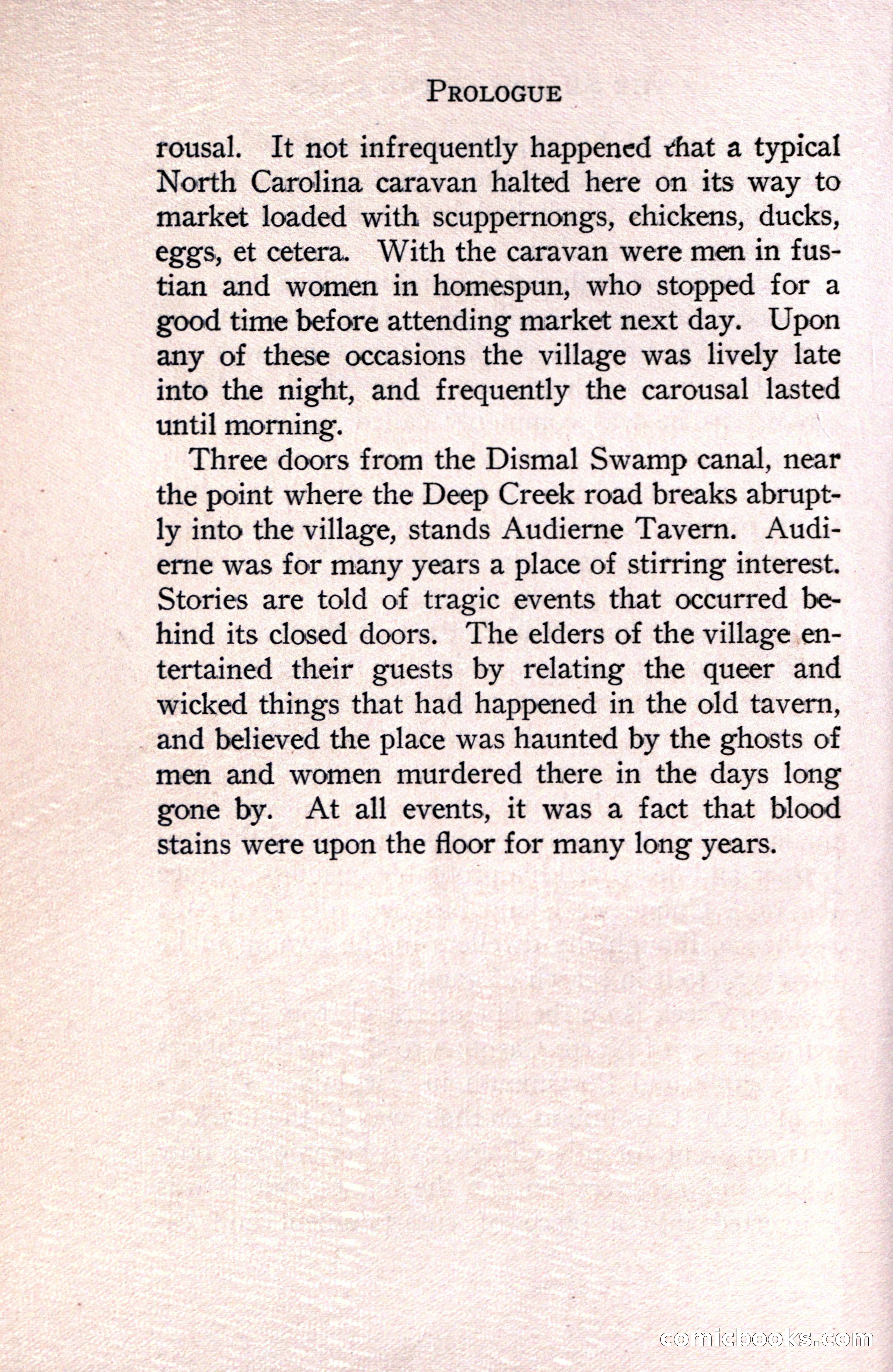 In the Shadow of the Pines: A Tale of Tidewater Virginia — page 24 of 287