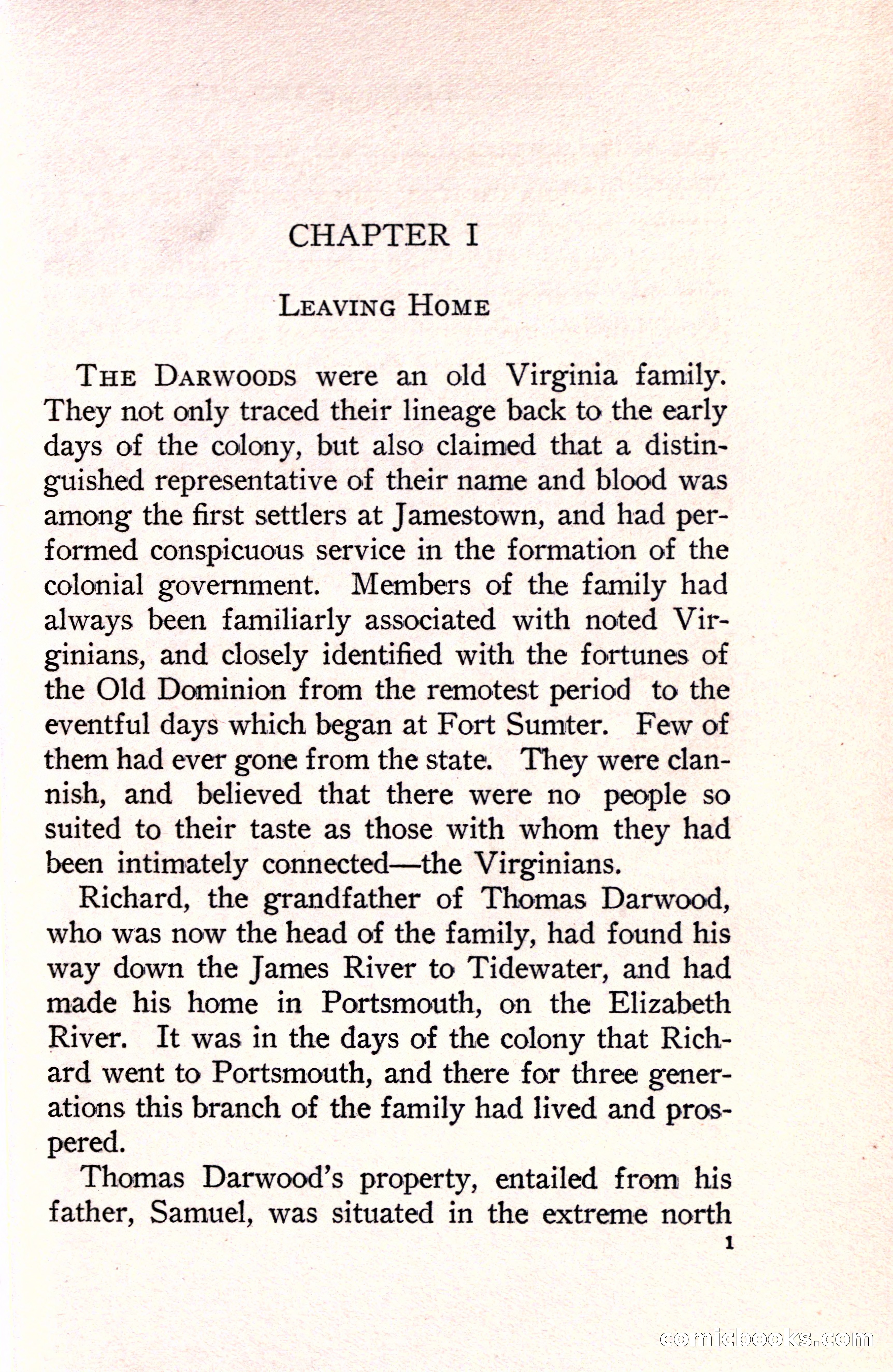 In the Shadow of the Pines: A Tale of Tidewater Virginia — page 25 of 287