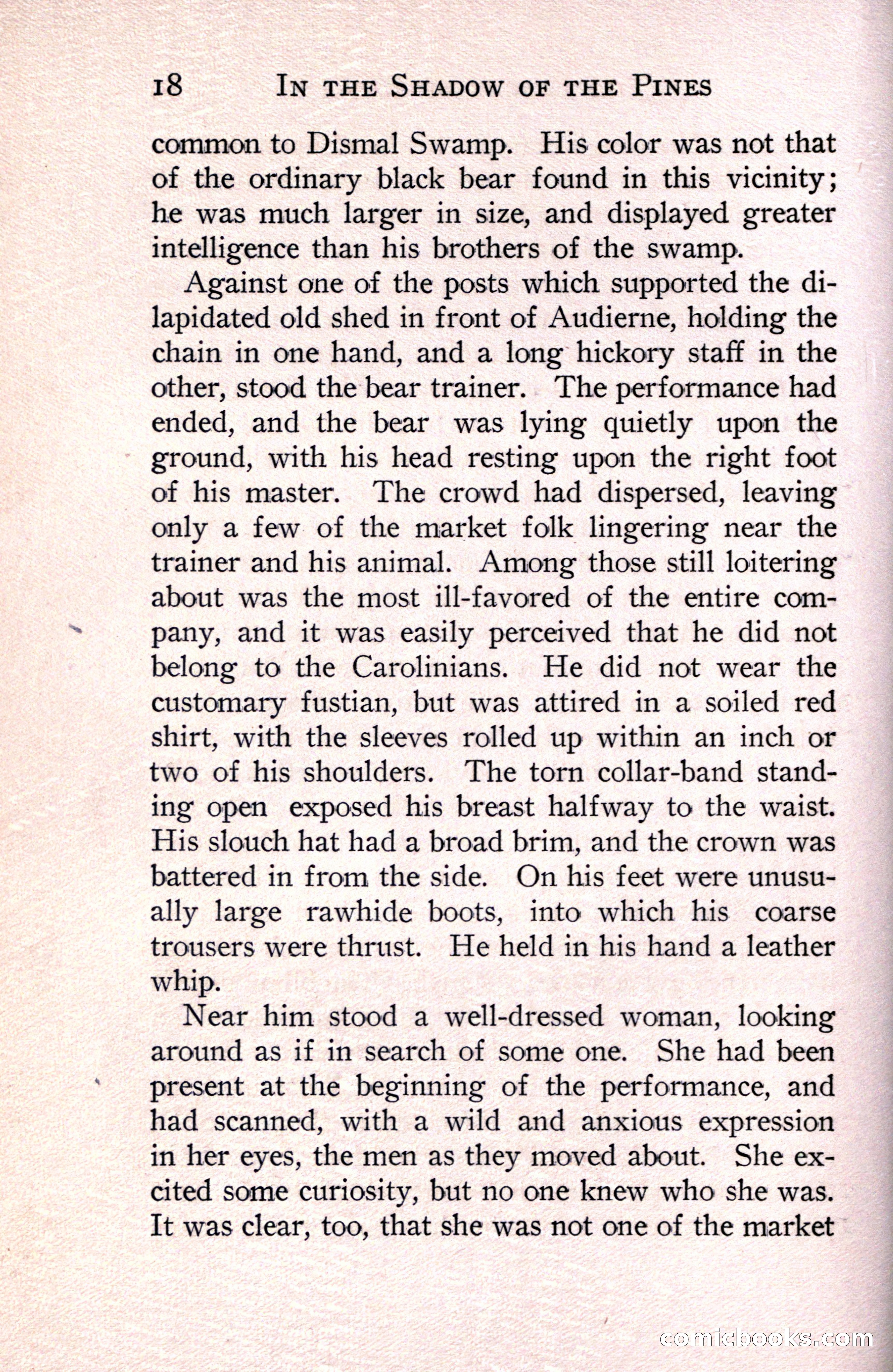 In the Shadow of the Pines: A Tale of Tidewater Virginia — page 42 of 287