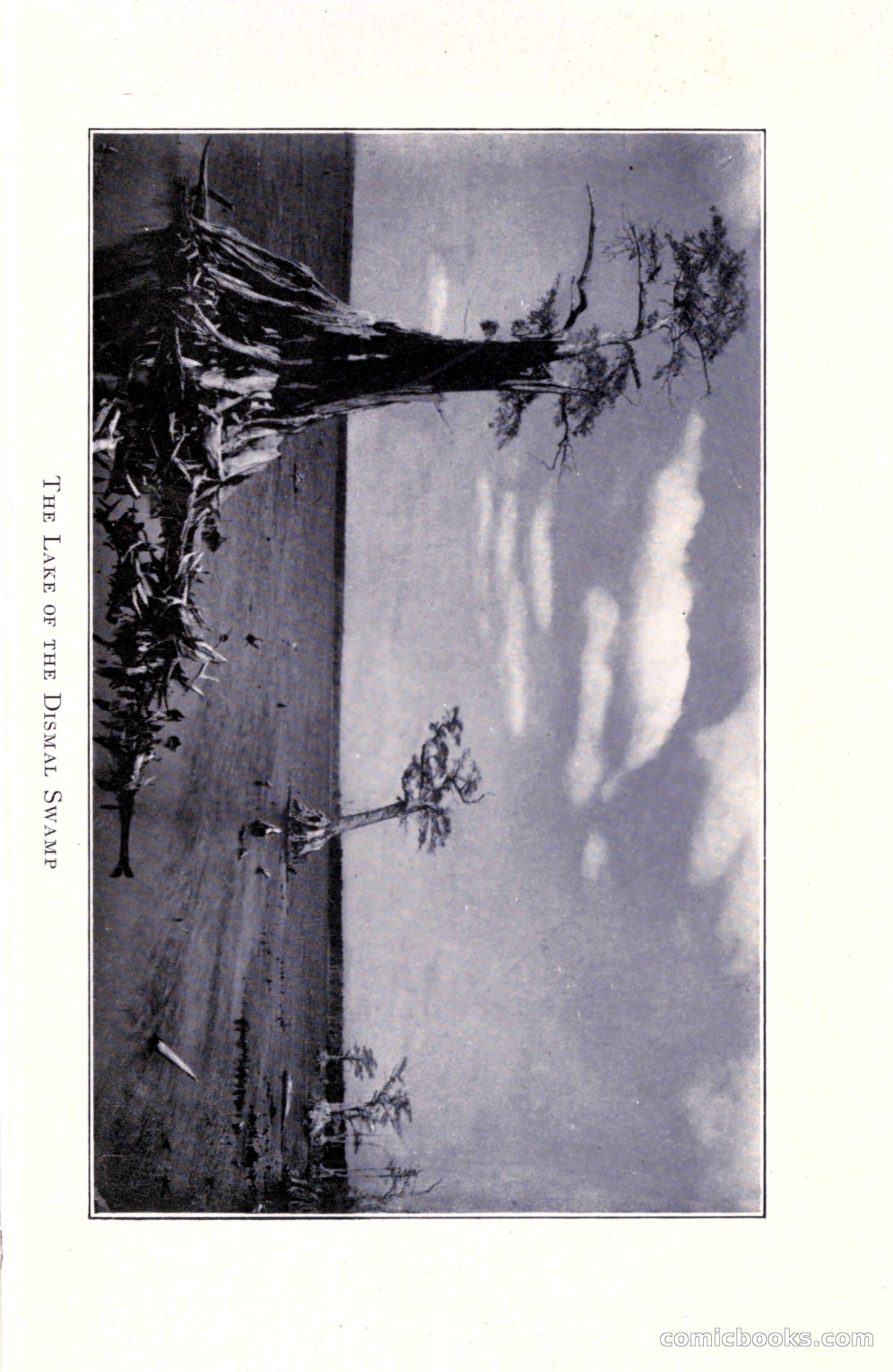 In the Shadow of the Pines: A Tale of Tidewater Virginia — page 45 of 287