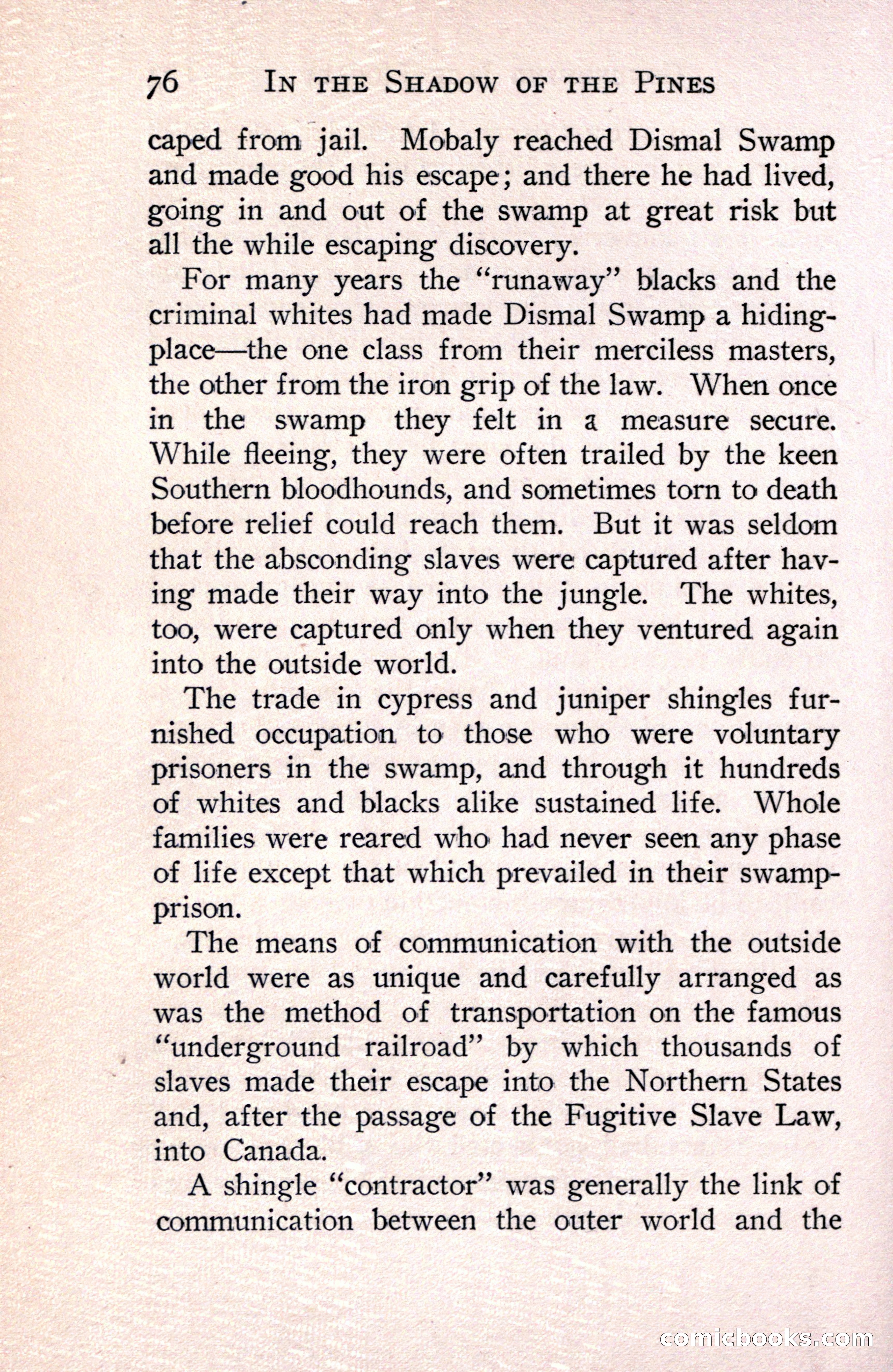 In the Shadow of the Pines: A Tale of Tidewater Virginia — page 104 of 287