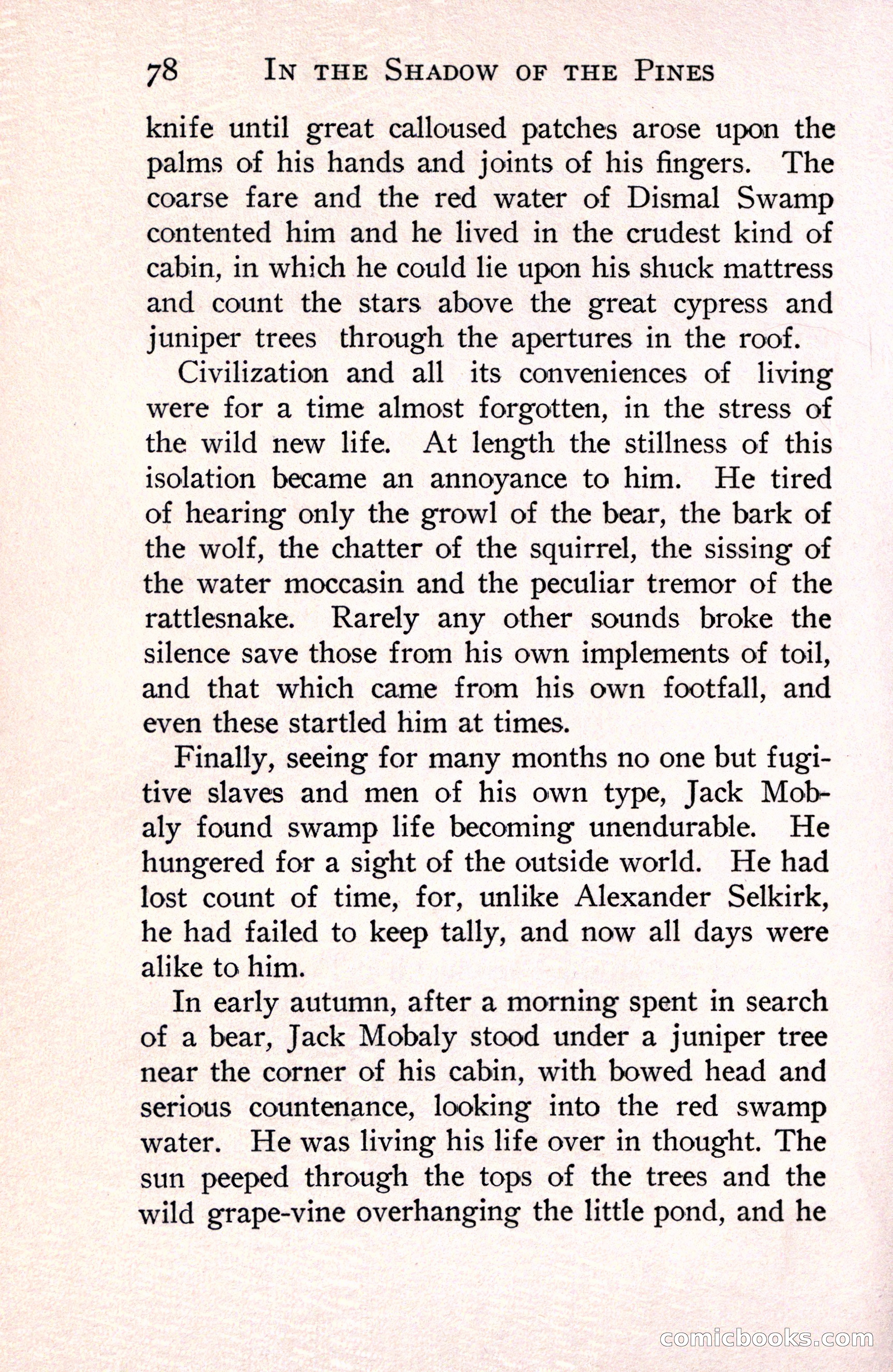 In the Shadow of the Pines: A Tale of Tidewater Virginia — page 106 of 287