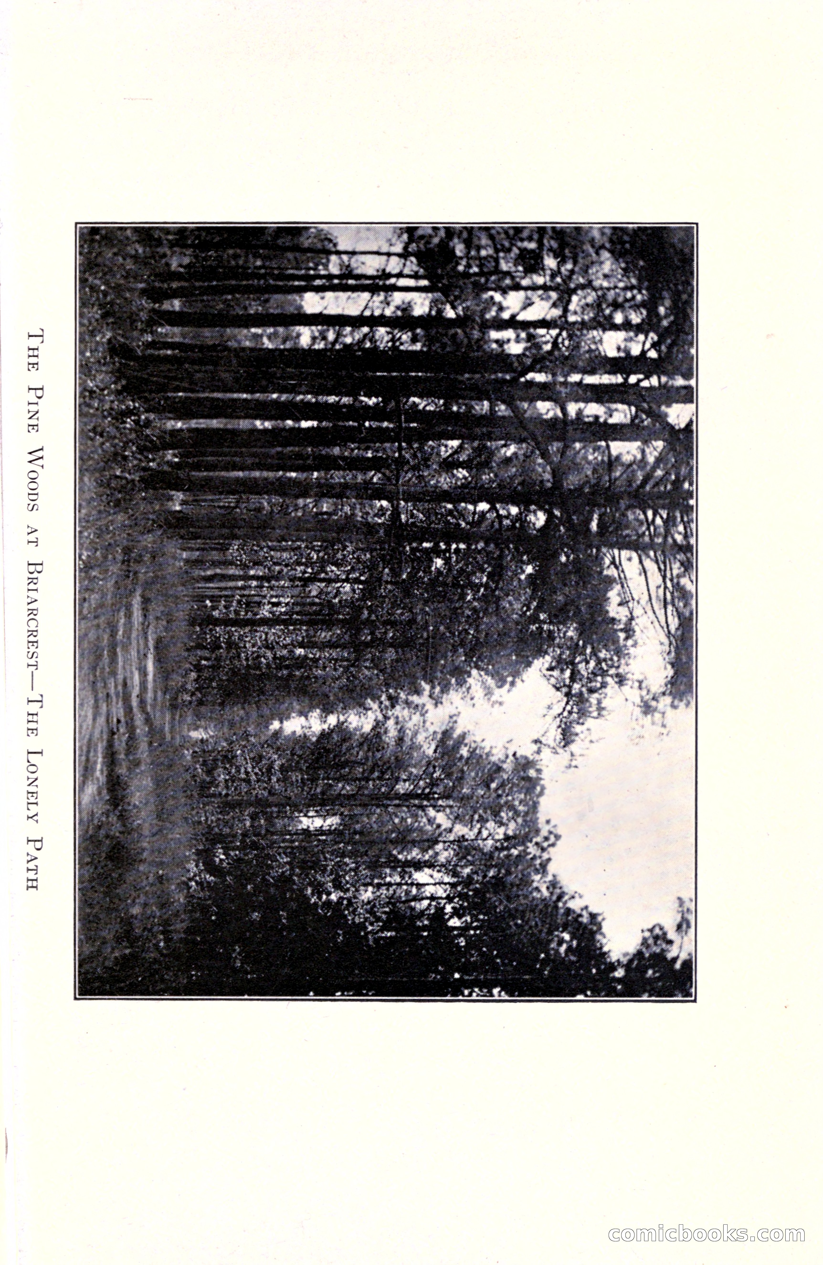 In the Shadow of the Pines: A Tale of Tidewater Virginia — page 161 of 287