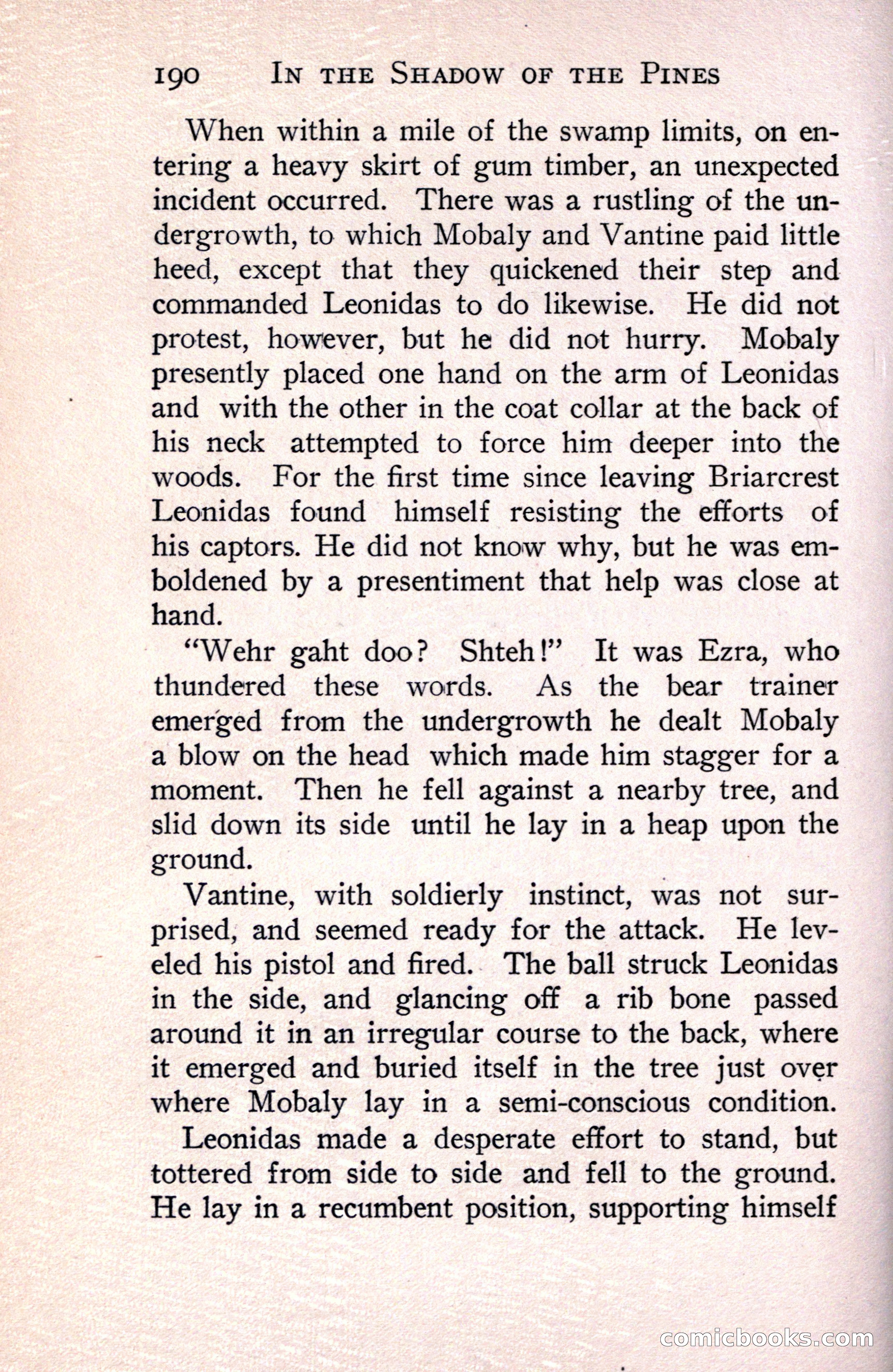 In the Shadow of the Pines: A Tale of Tidewater Virginia — page 224 of 287