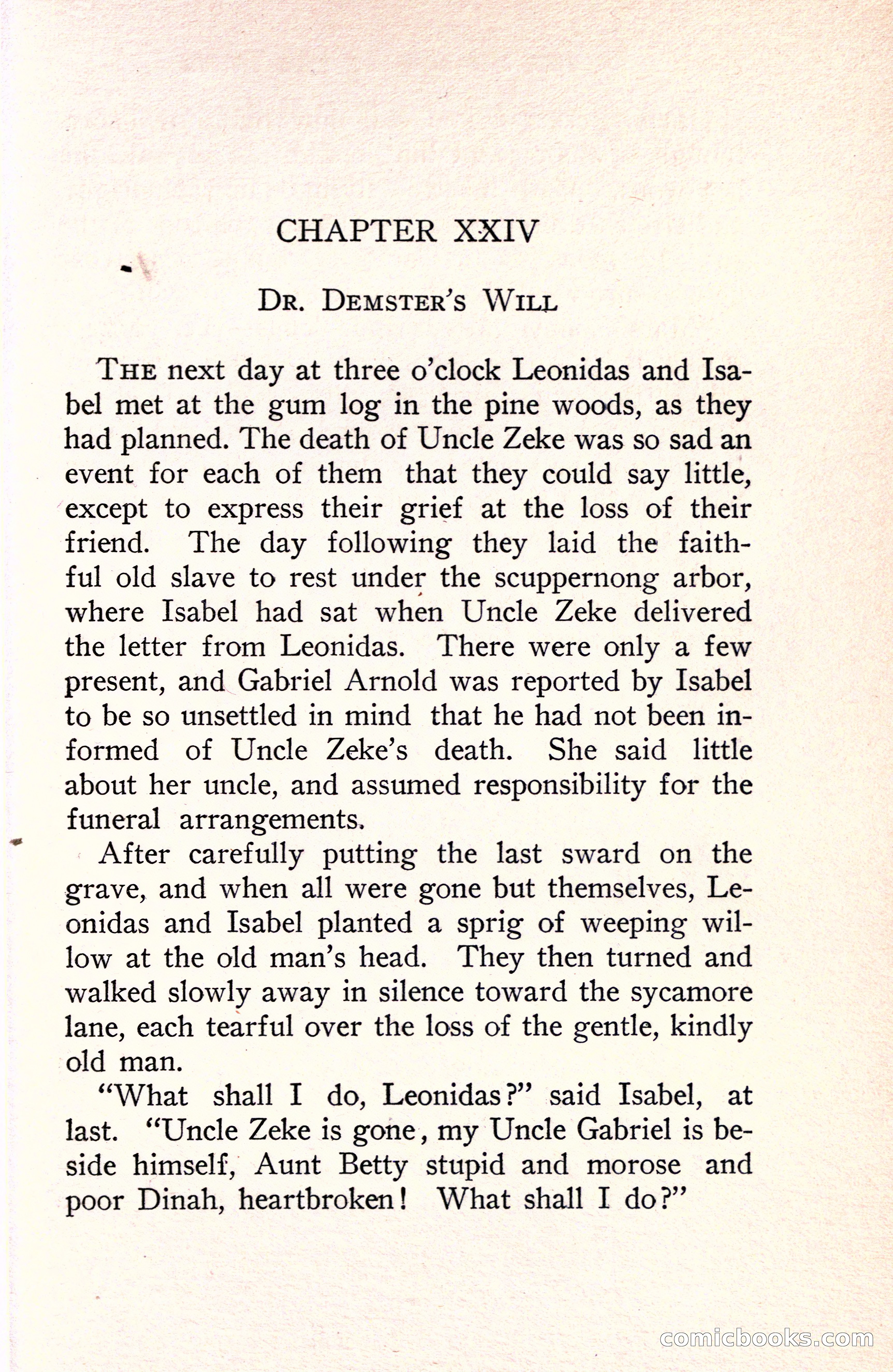 In the Shadow of the Pines: A Tale of Tidewater Virginia — page 241 of 287