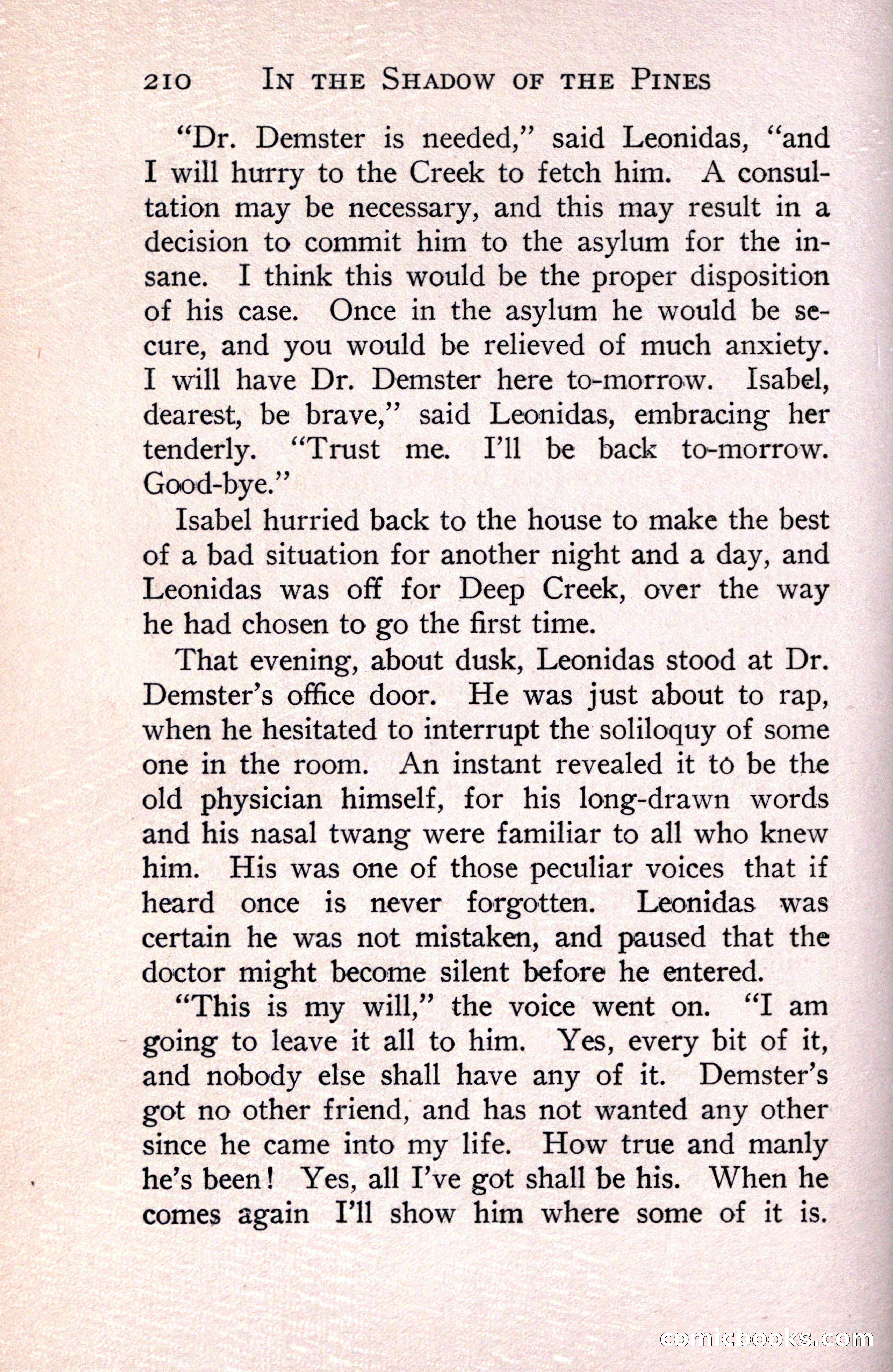 In the Shadow of the Pines: A Tale of Tidewater Virginia — page 244 of 287