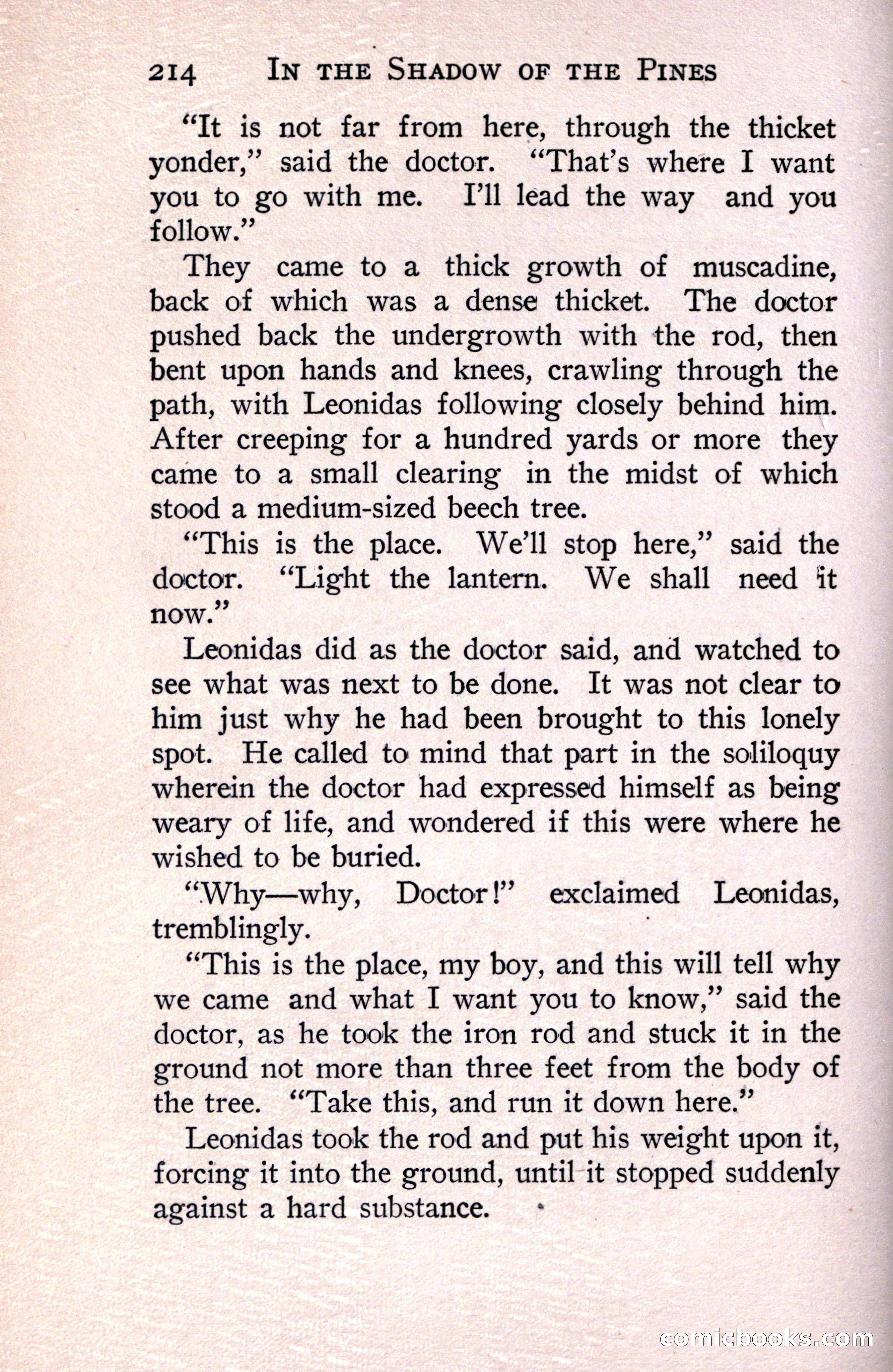 In the Shadow of the Pines: A Tale of Tidewater Virginia — page 248 of 287